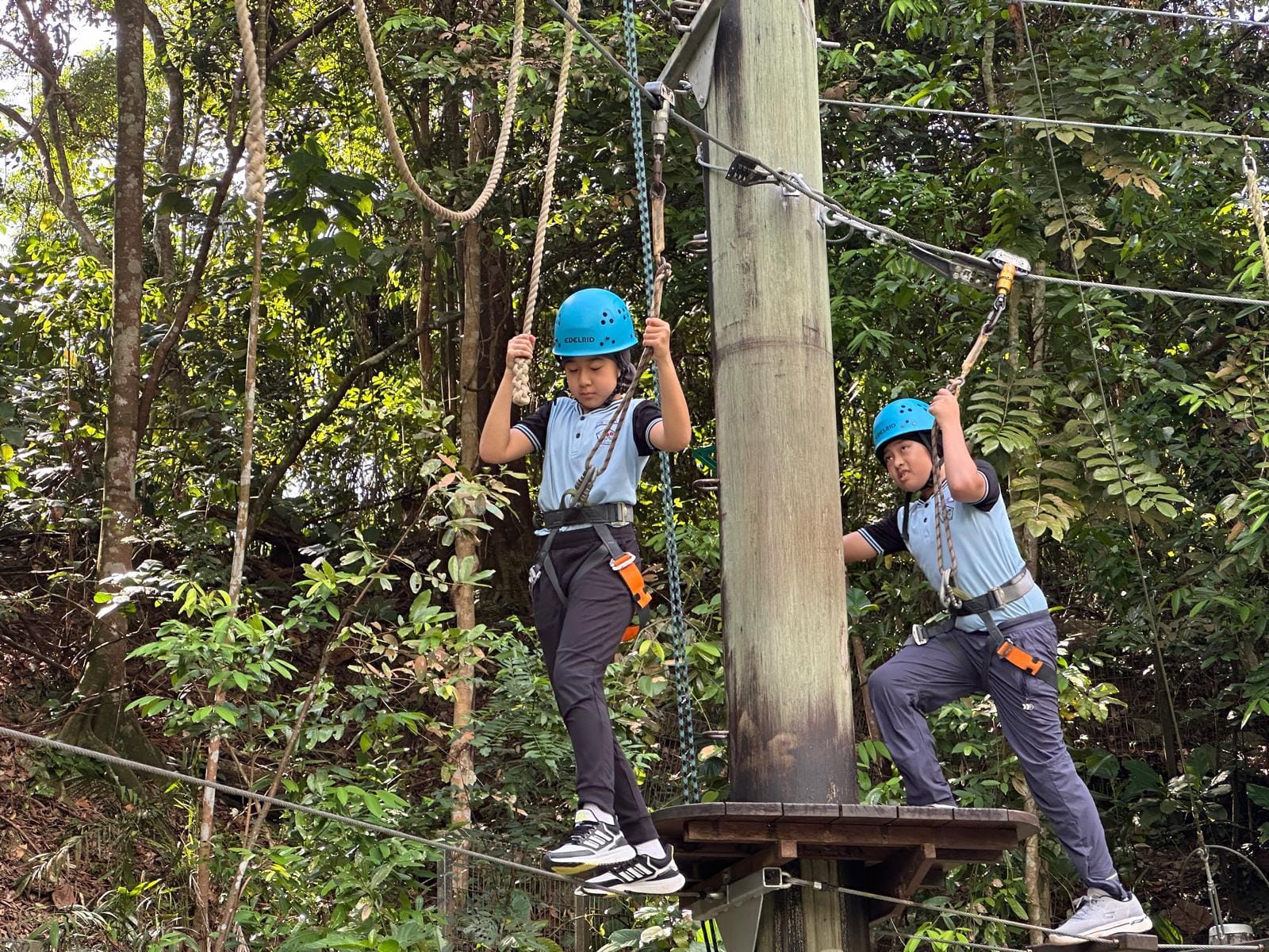 Two children in blue helmets and harnesses navigate a high ropes course platform surrounded by trees.