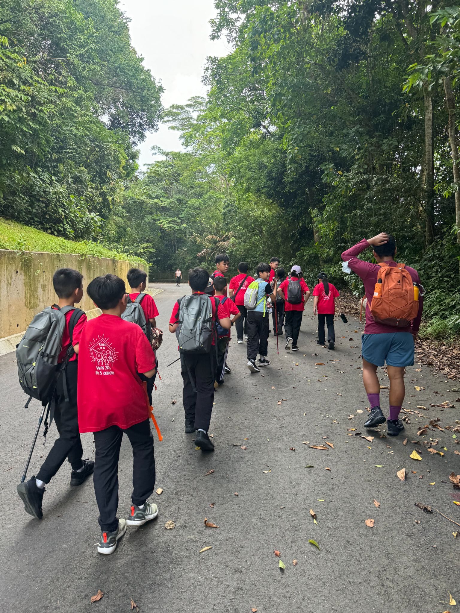 A group of children in red shirts with backpacks walks along a tree-lined paved path with an adult guide.