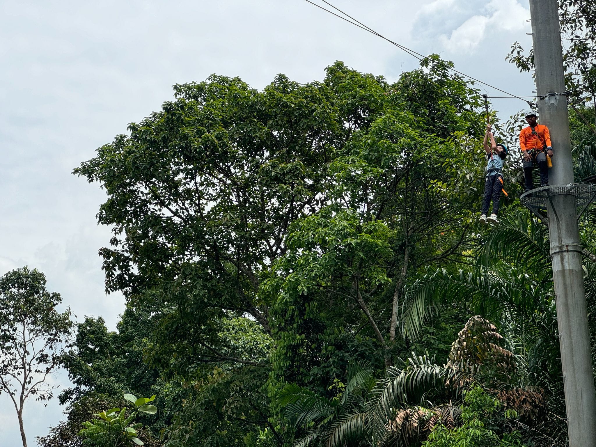 Two people on a high zipline platform surrounded by dense tropical trees, one in an orange shirt assisting the other.