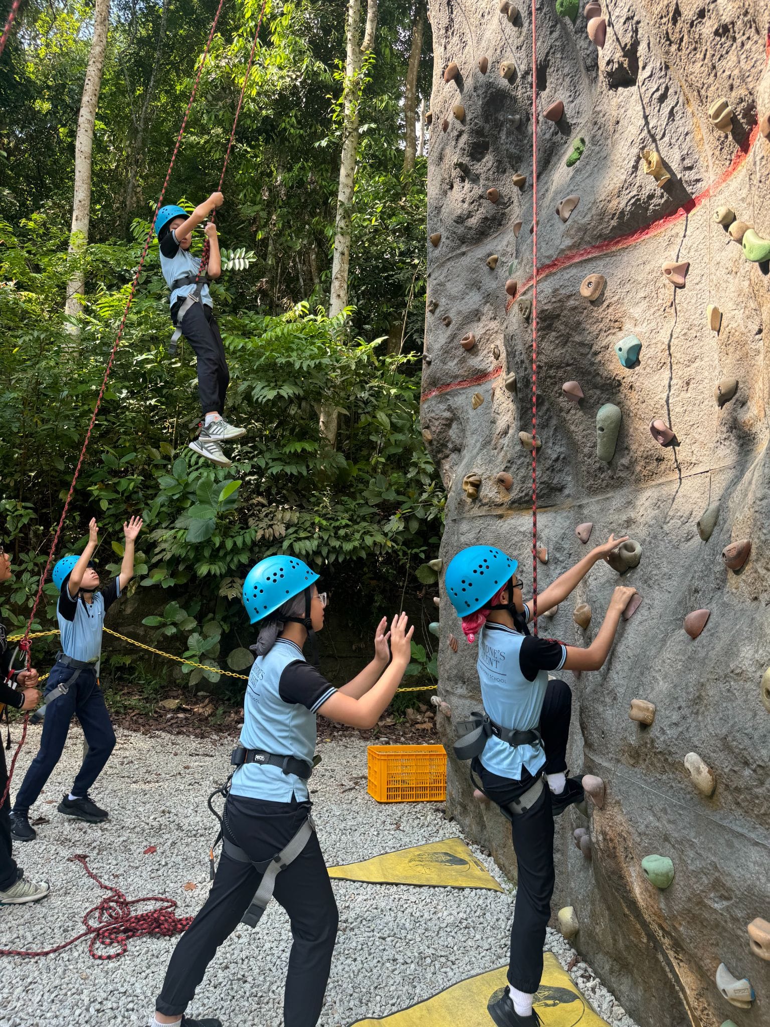 Students in blue helmets climb an outdoor rock wall while one is suspended mid-air on a rope, surrounded by trees.