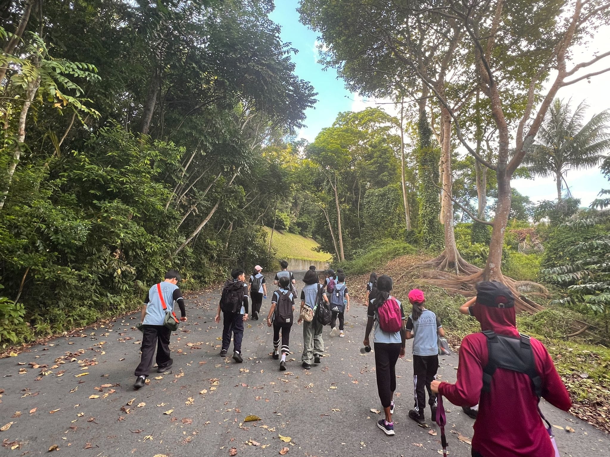 A group of students with backpacks walking along a paved road surrounded by tall green trees.
