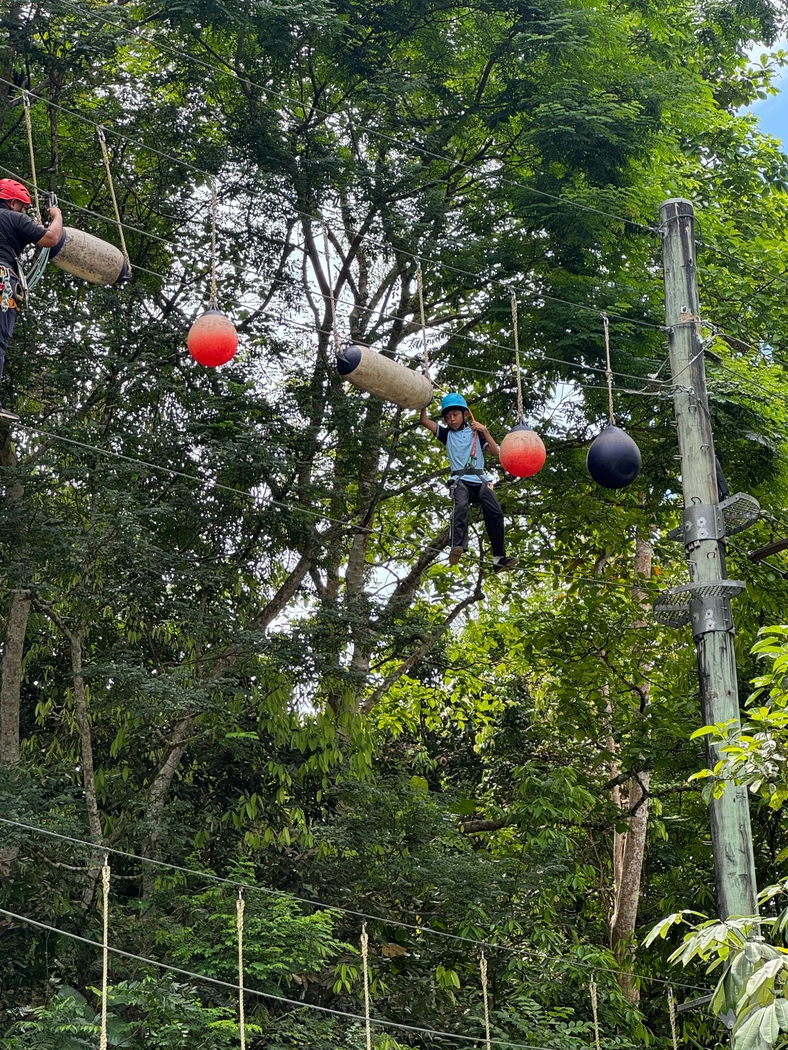 Child in a blue helmet navigates a high ropes course with hanging balls among tall trees.