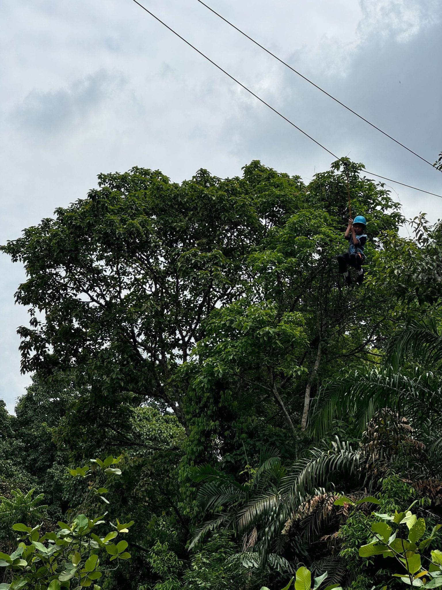 Person wearing a blue helmet ziplining high above a dense tropical forest under a cloudy sky.
