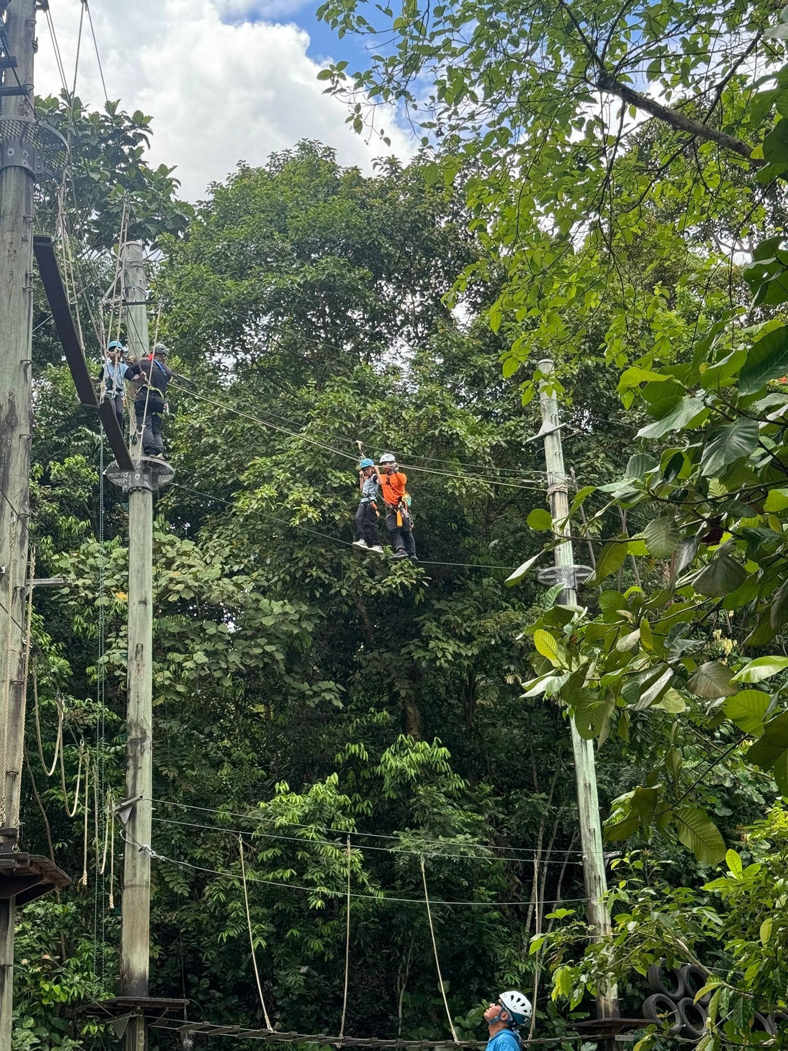 Two people wearing helmets zip line together above a lush green jungle canopy between tall wooden poles.