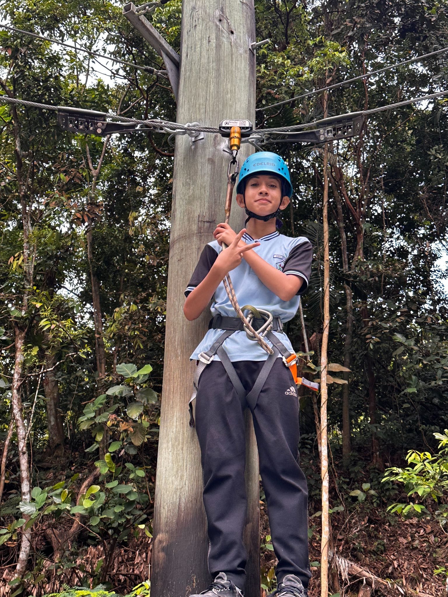 A young person wearing a blue helmet and safety harness stands at a zip-line pole surrounded by trees.