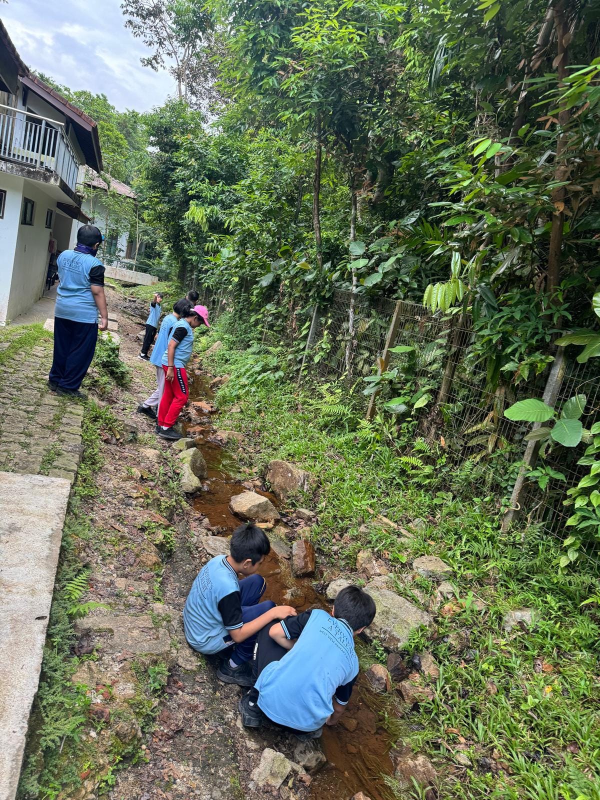 Children in blue shirts crouch beside a narrow rocky stream along a lush green path next to a building.