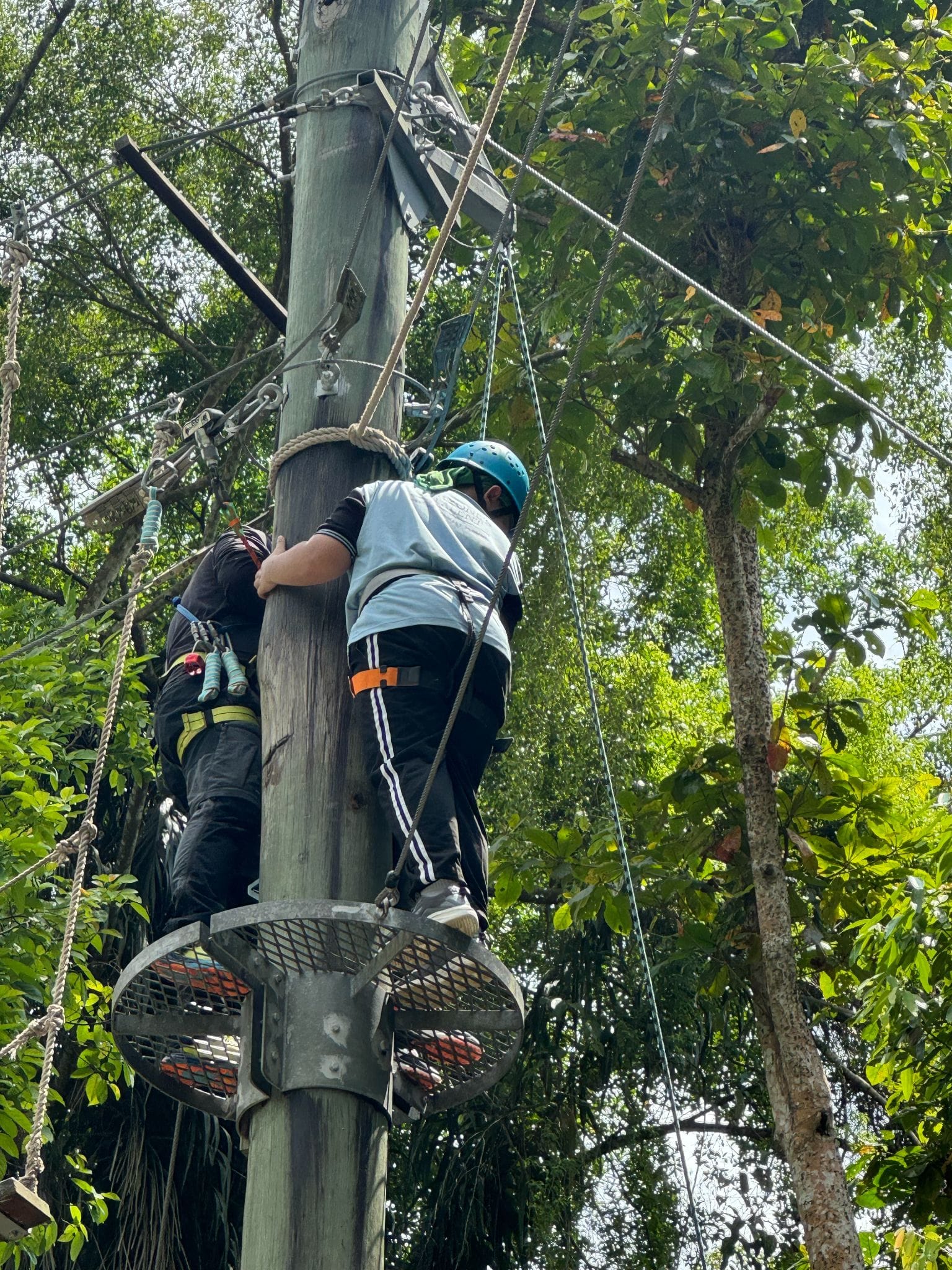 Two people wearing harnesses climb a tall wooden pole on a ropes course surrounded by green trees.