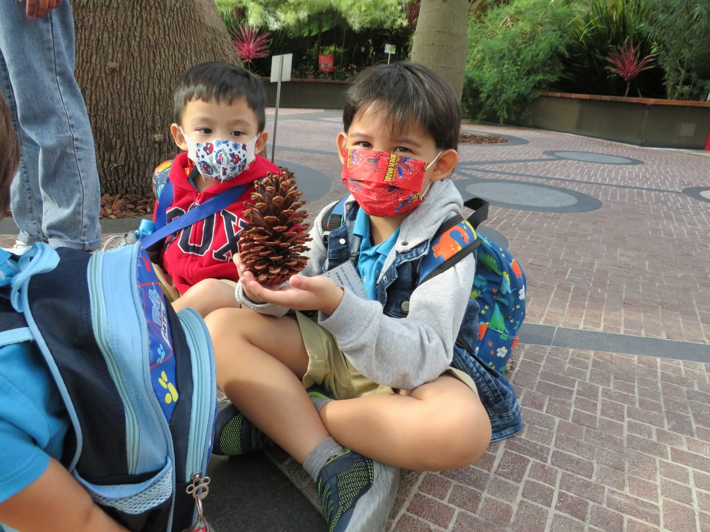 Two young boys wearing face masks and backpacks sit outdoors, one holding a large pine cone.