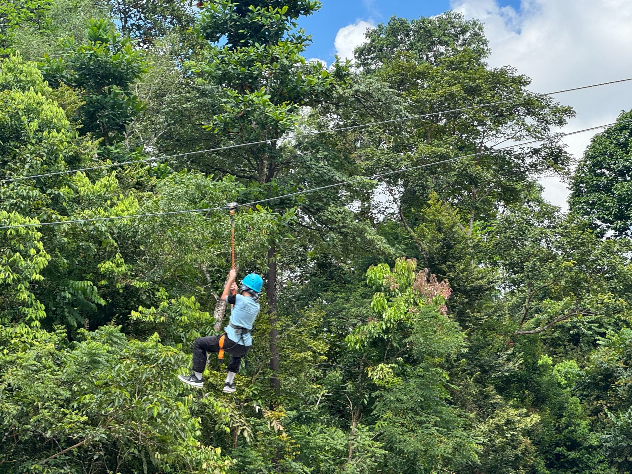 Person wearing a blue helmet and light blue shirt ziplining above a dense green forest canopy.