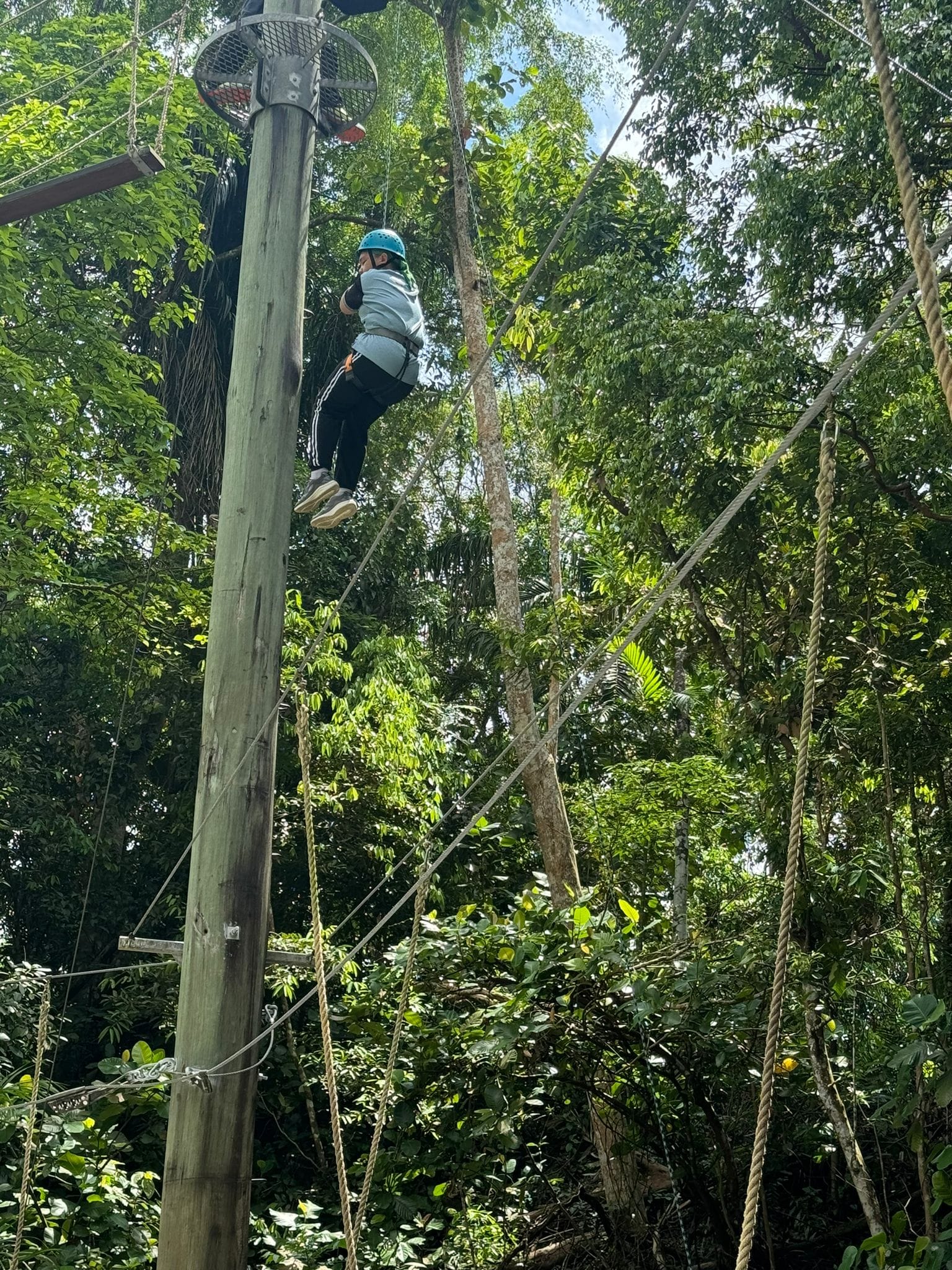 Person wearing a blue helmet and harness suspended high on a ropes course among tall green trees.