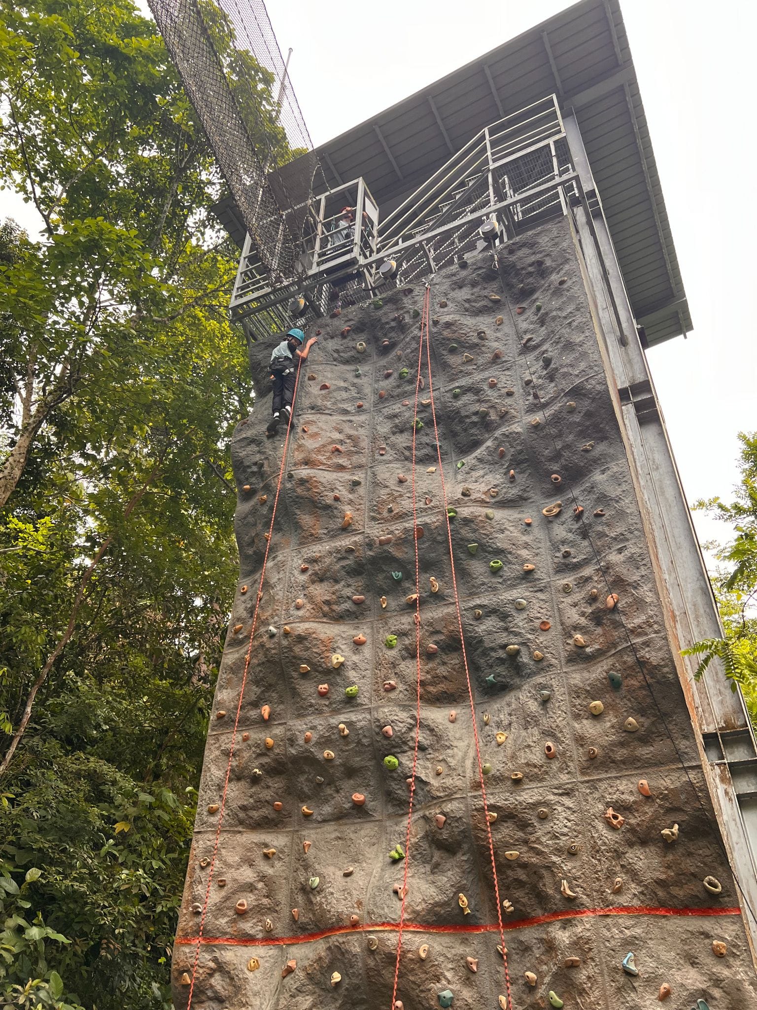 A person wearing a helmet climbs a tall outdoor rock climbing wall with colorful holds and red safety ropes.