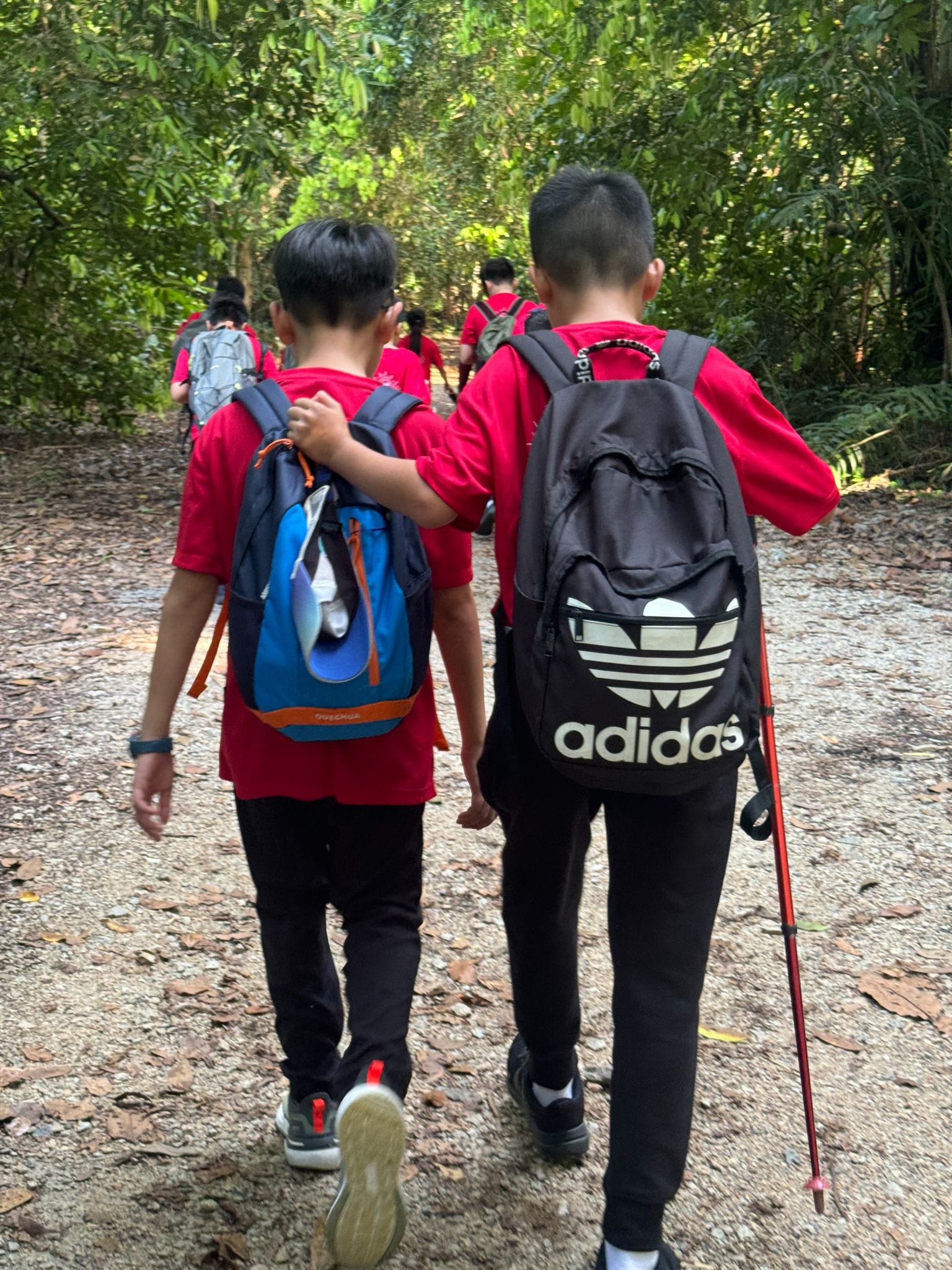 Two boys in red shirts with backpacks hike a forest trail with a group ahead among green trees.