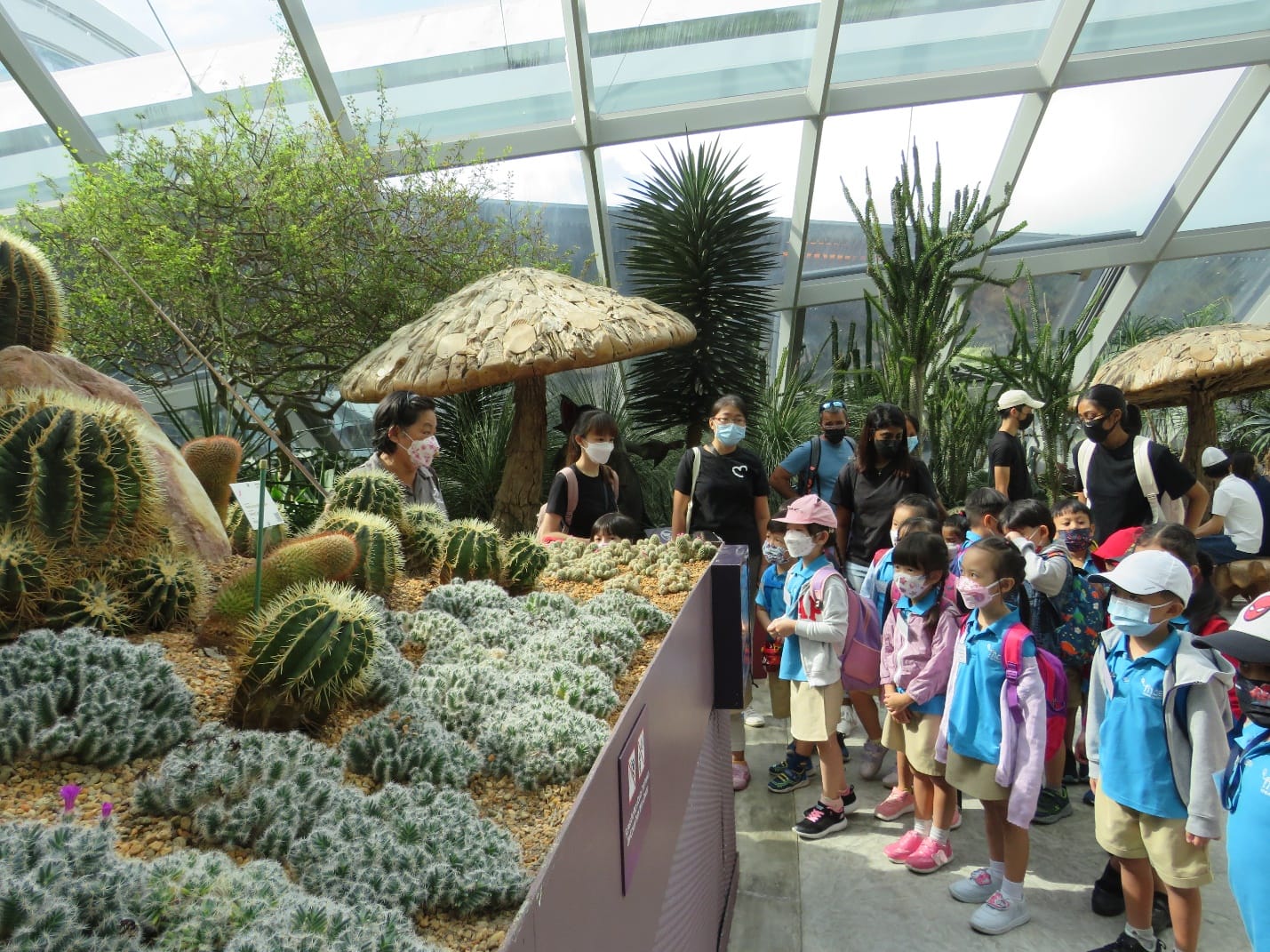 Children in school uniforms and masked adults view a large cactus display with giant mushroom sculptures in a glass greenhouse.