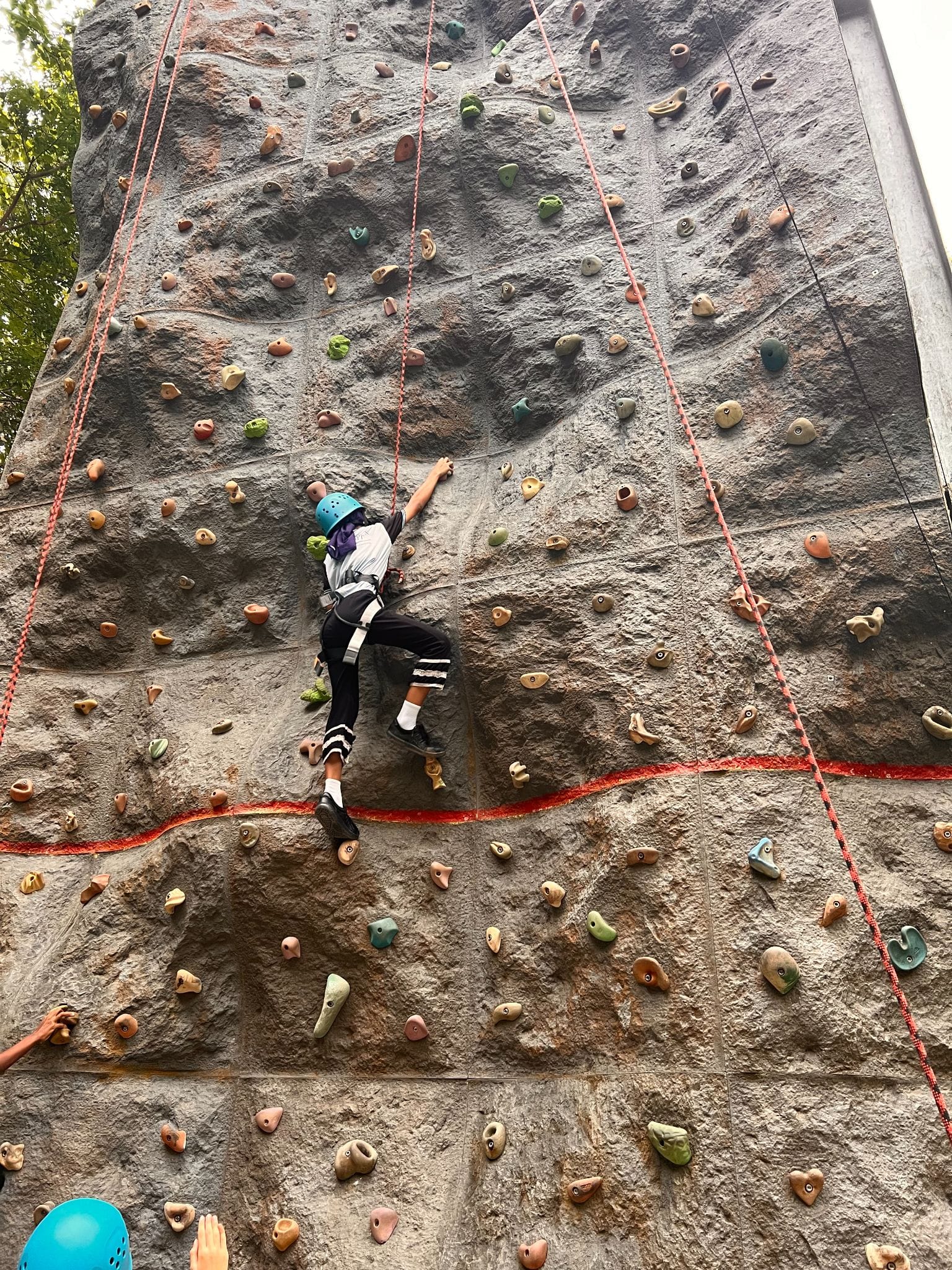 A child wearing a blue helmet and harness climbs an outdoor rock wall with colorful holds and red safety ropes.