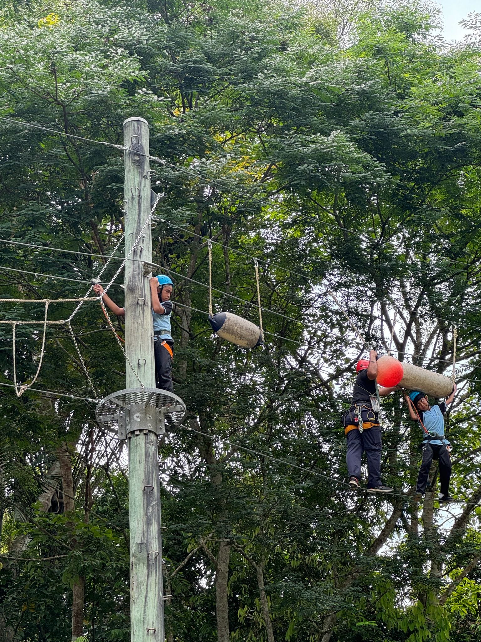 Three children wearing helmets and harnesses navigate a high ropes course with poles and hanging obstacles among trees.