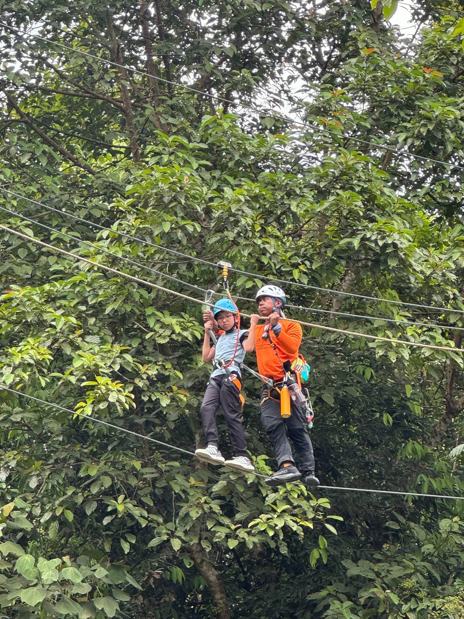 Two people wearing helmets and harnesses zip-lining together above a dense green forest canopy.