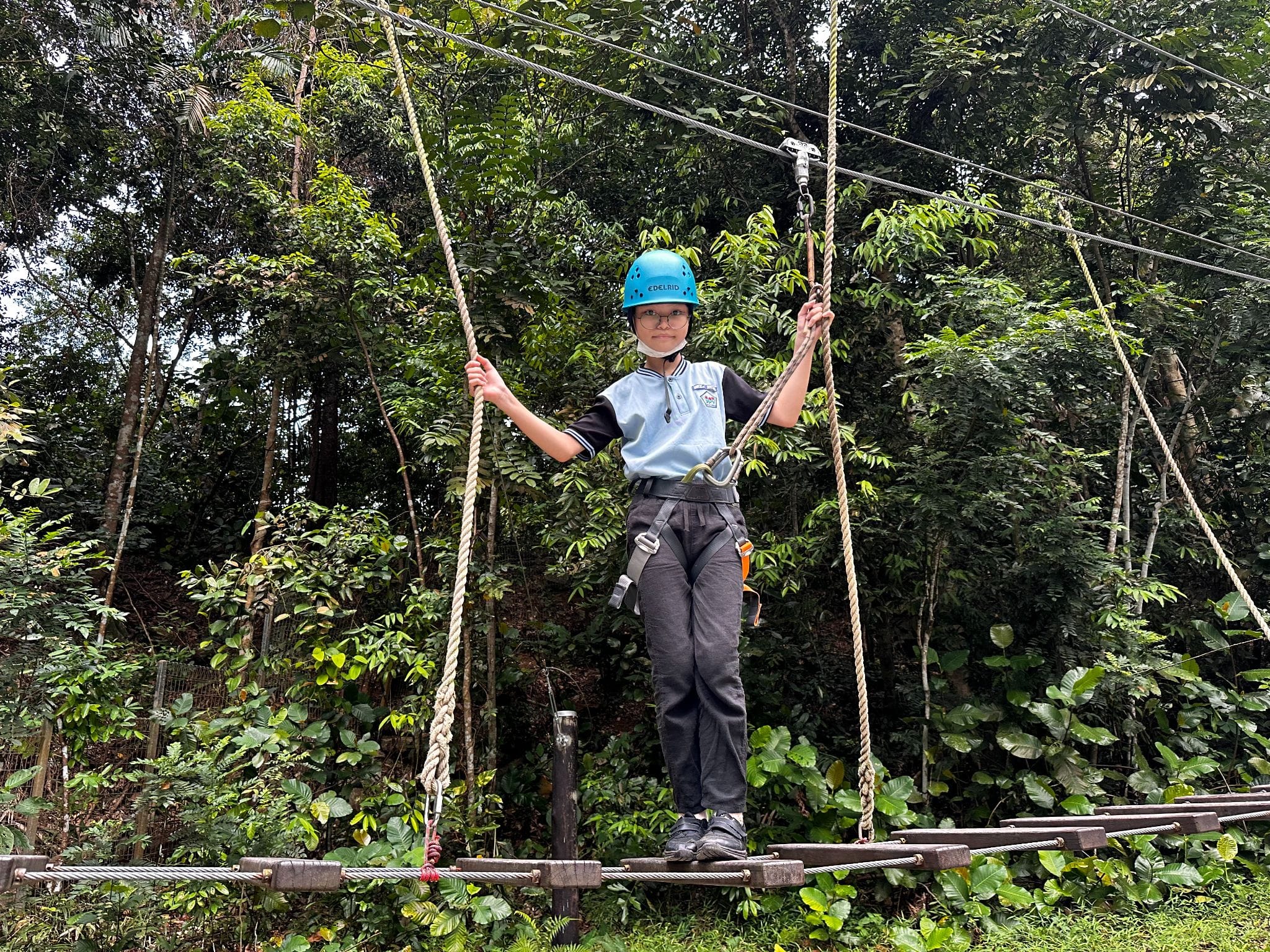 A child in a blue helmet and harness walks a rope bridge holding guide ropes in a forested outdoor course.
