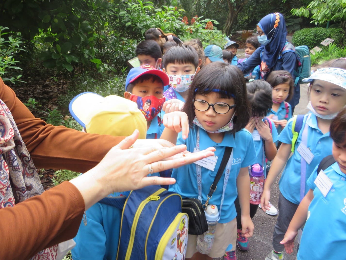 Children in blue uniforms look at a small insect on an adult's outstretched hand during an outdoor field trip.