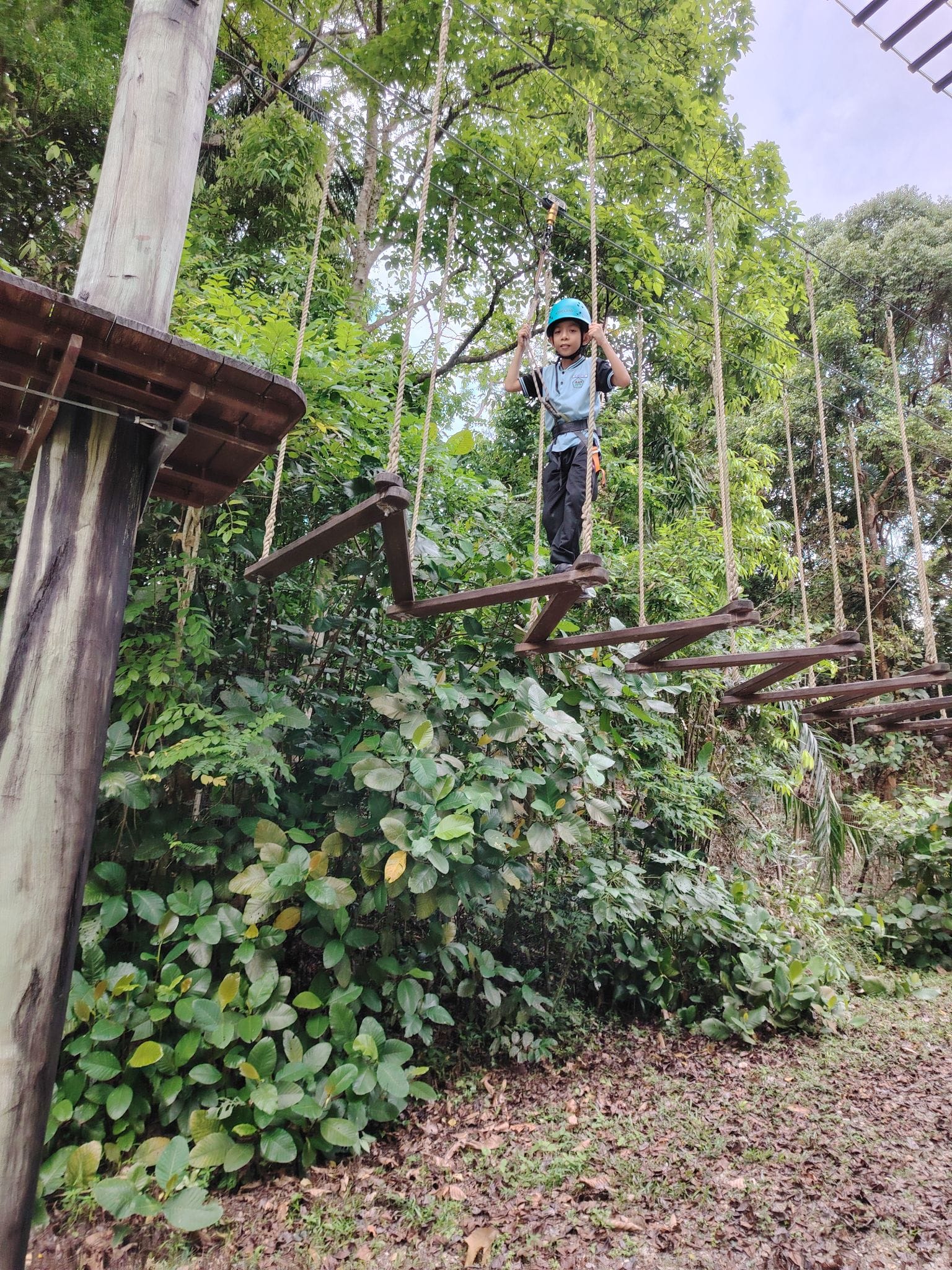 A child wearing a blue helmet and harness walks across a suspended wooden rope bridge high above green foliage.