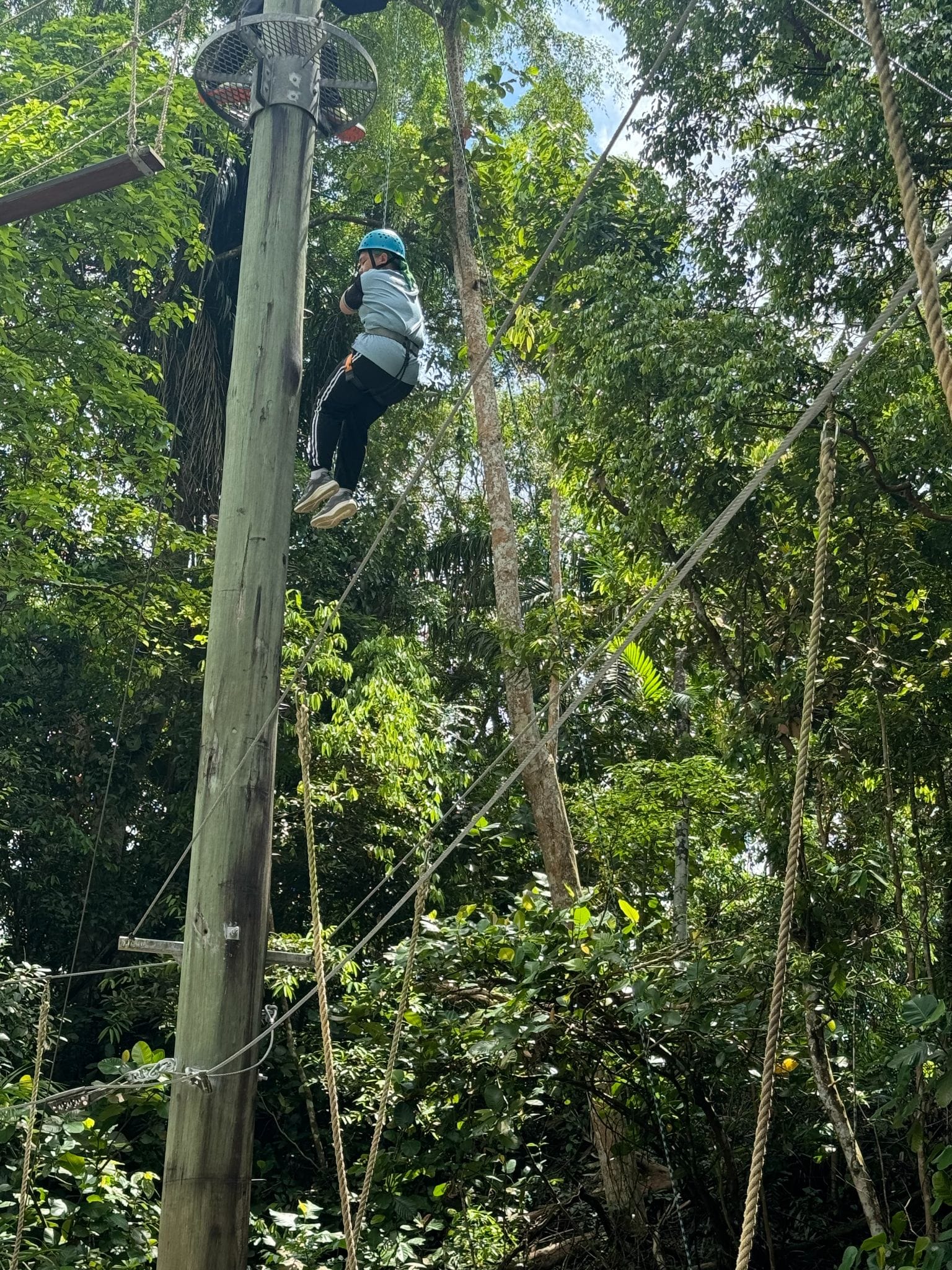 Person wearing a blue helmet climbs a tall wooden pole on a ropes course surrounded by green trees.
