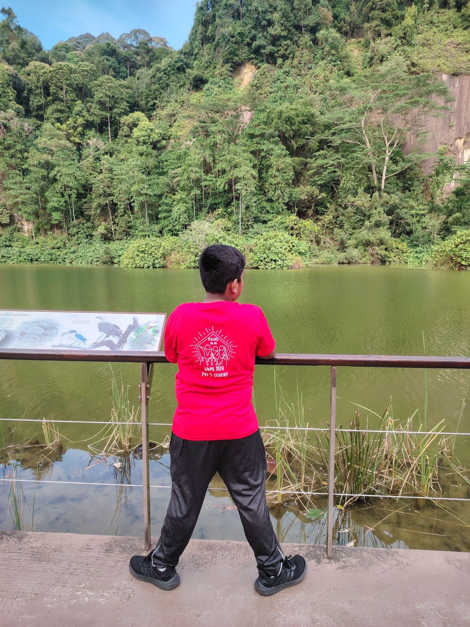 A boy in a red shirt leans on a railing overlooking a green lake surrounded by dense forested cliffs.
