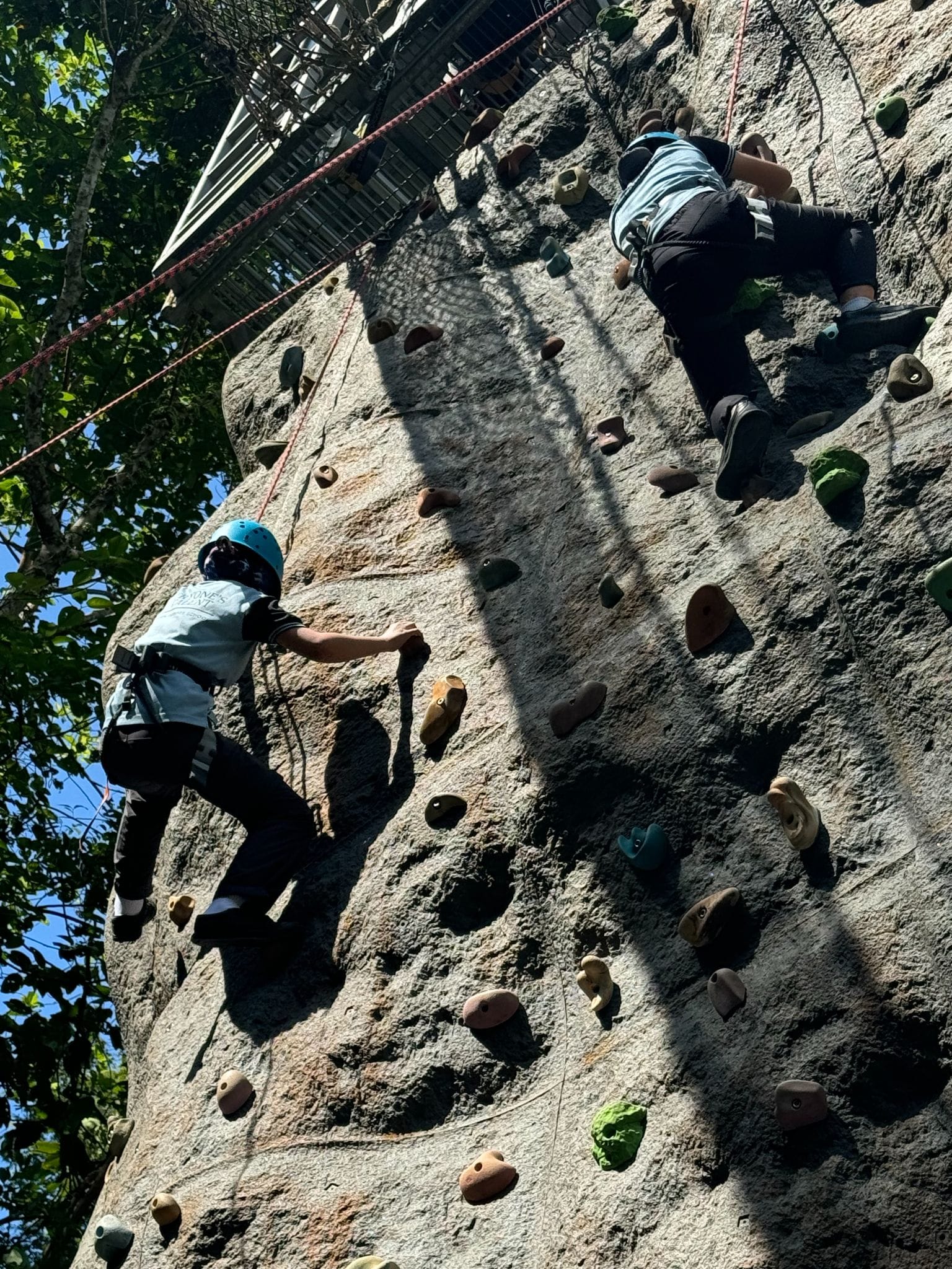 Two people with harnesses climbing a tall outdoor rock wall with holds, surrounded by trees.