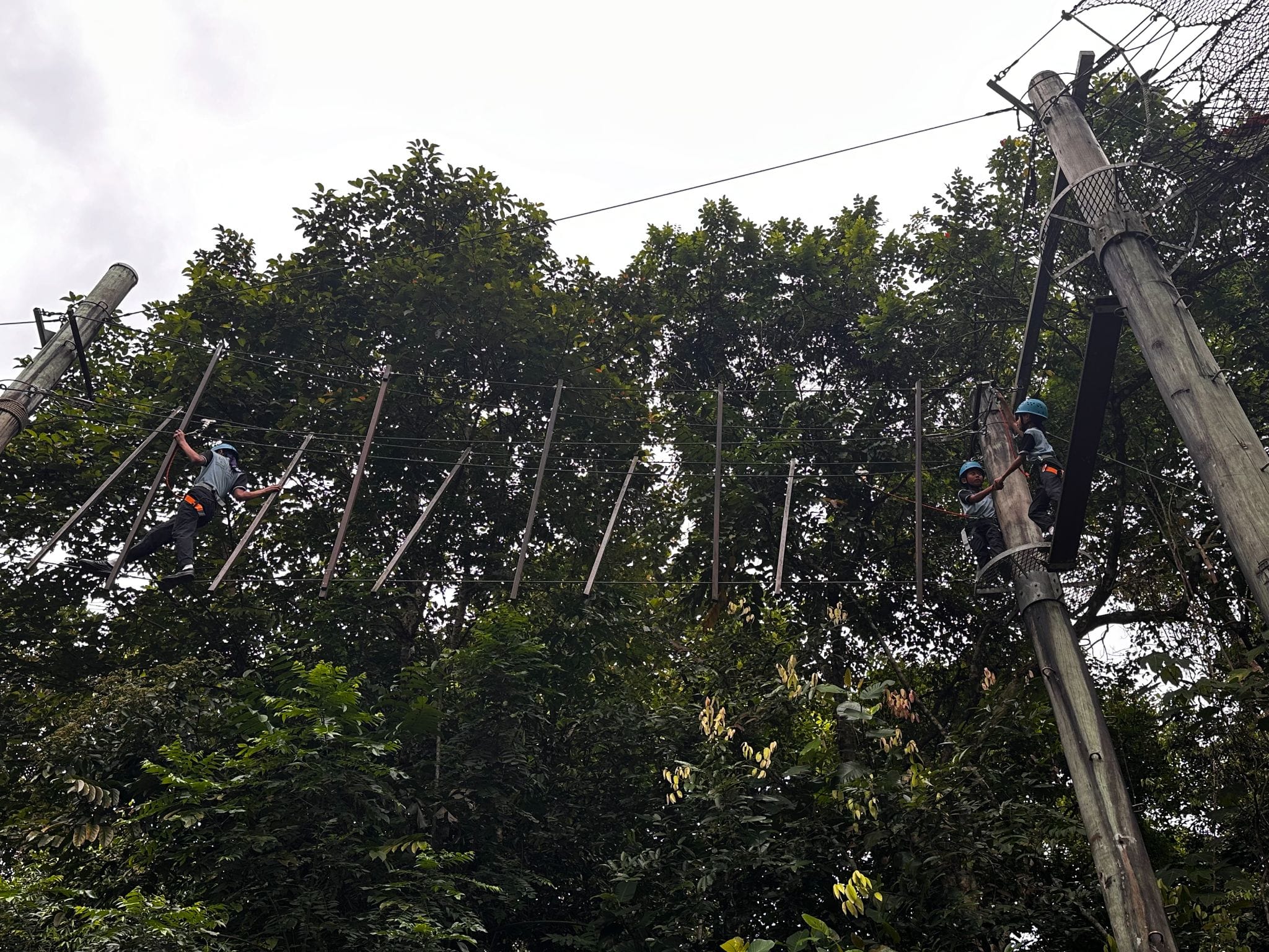 Three people wearing helmets navigate a high ropes course suspended between tall wooden poles above dense trees.