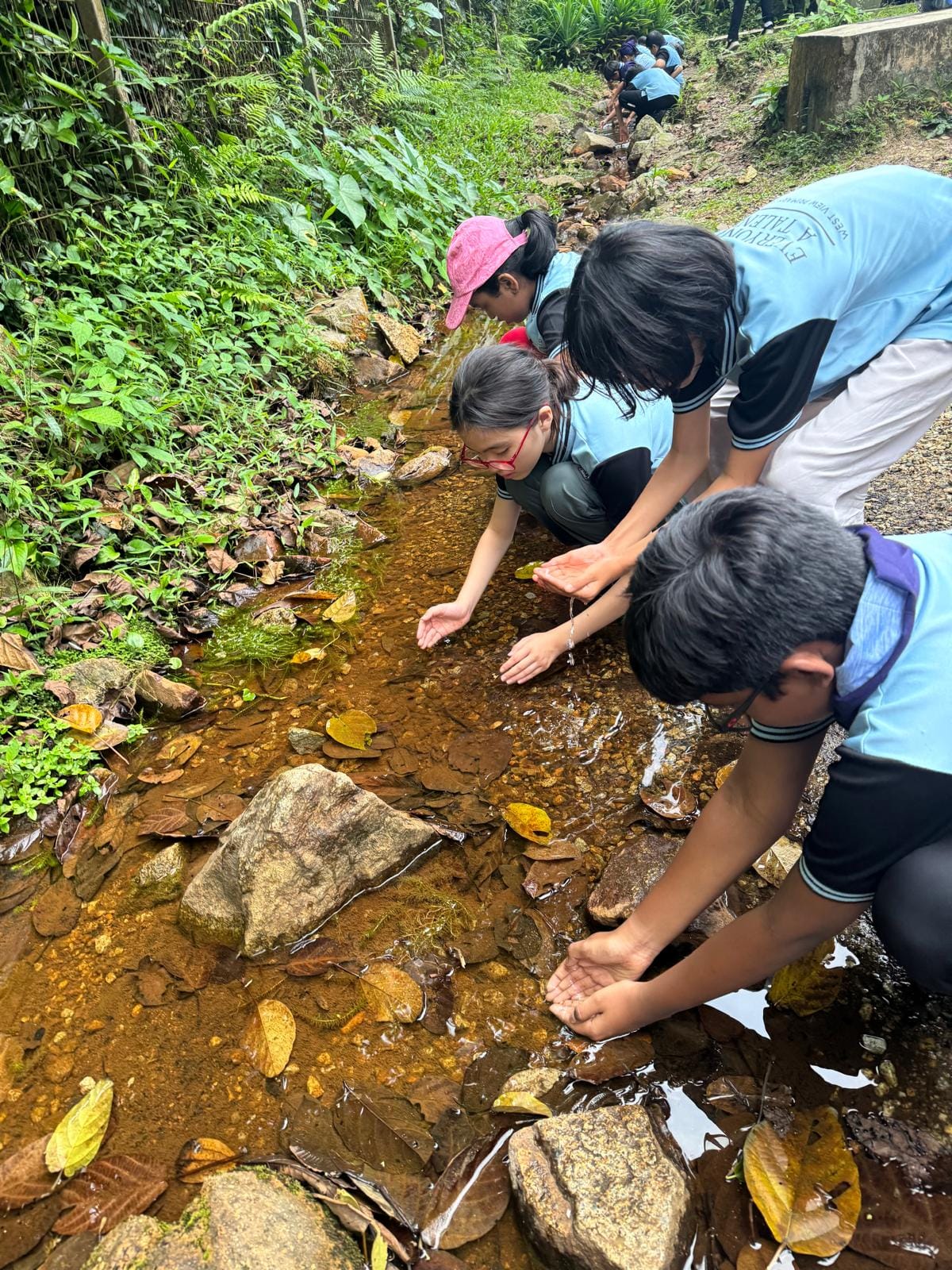 Students in blue uniforms crouch along a shallow rocky stream, scooping water with their hands amid fallen leaves.