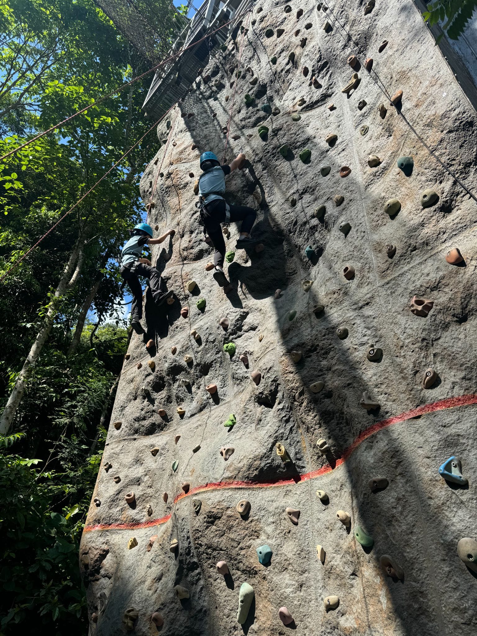 Two people wearing helmets and harnesses climb a tall outdoor rock wall with many holds, surrounded by green trees.
