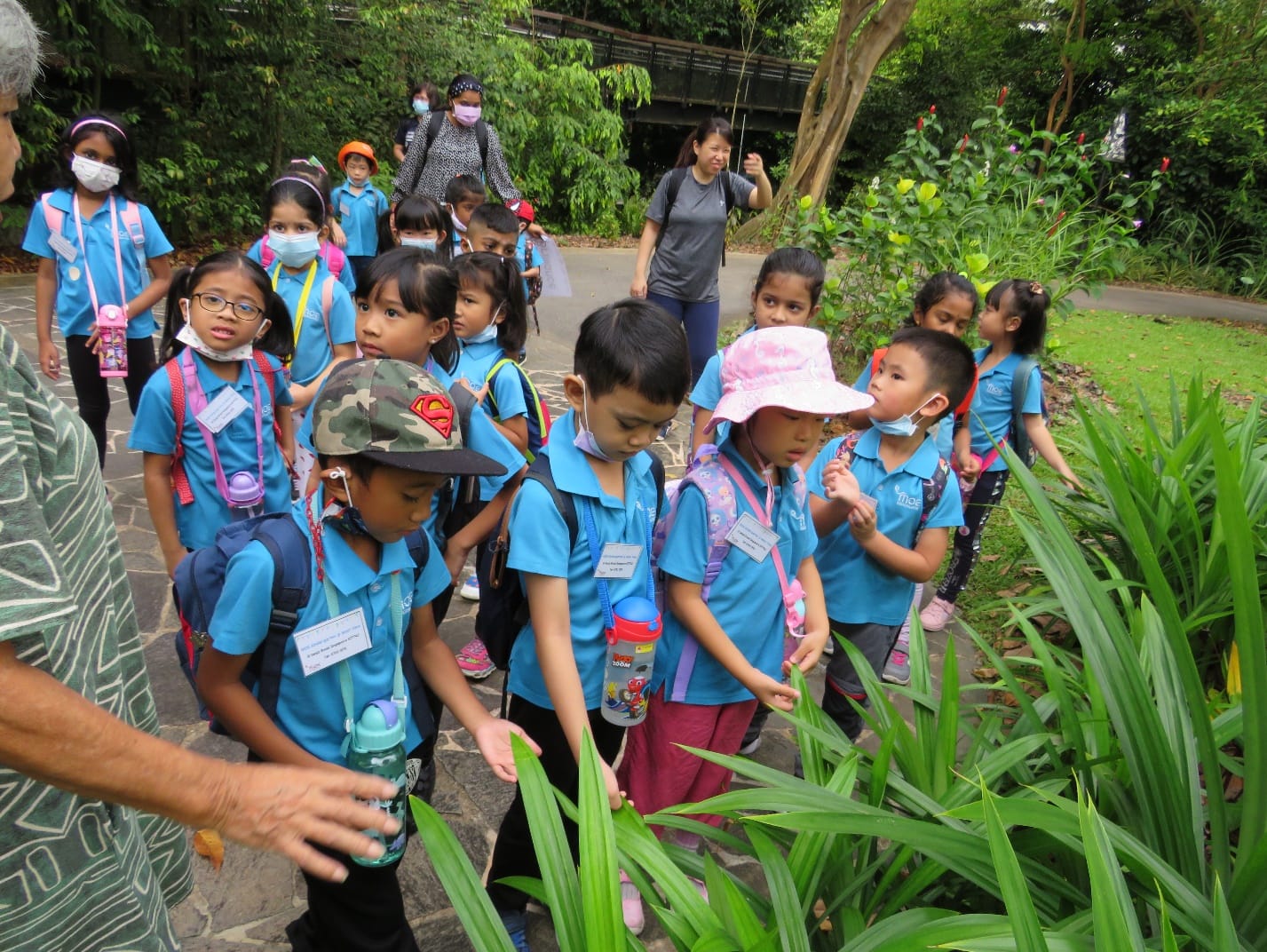 A group of young children in blue uniforms with backpacks explore a lush green park path with adult chaperones.