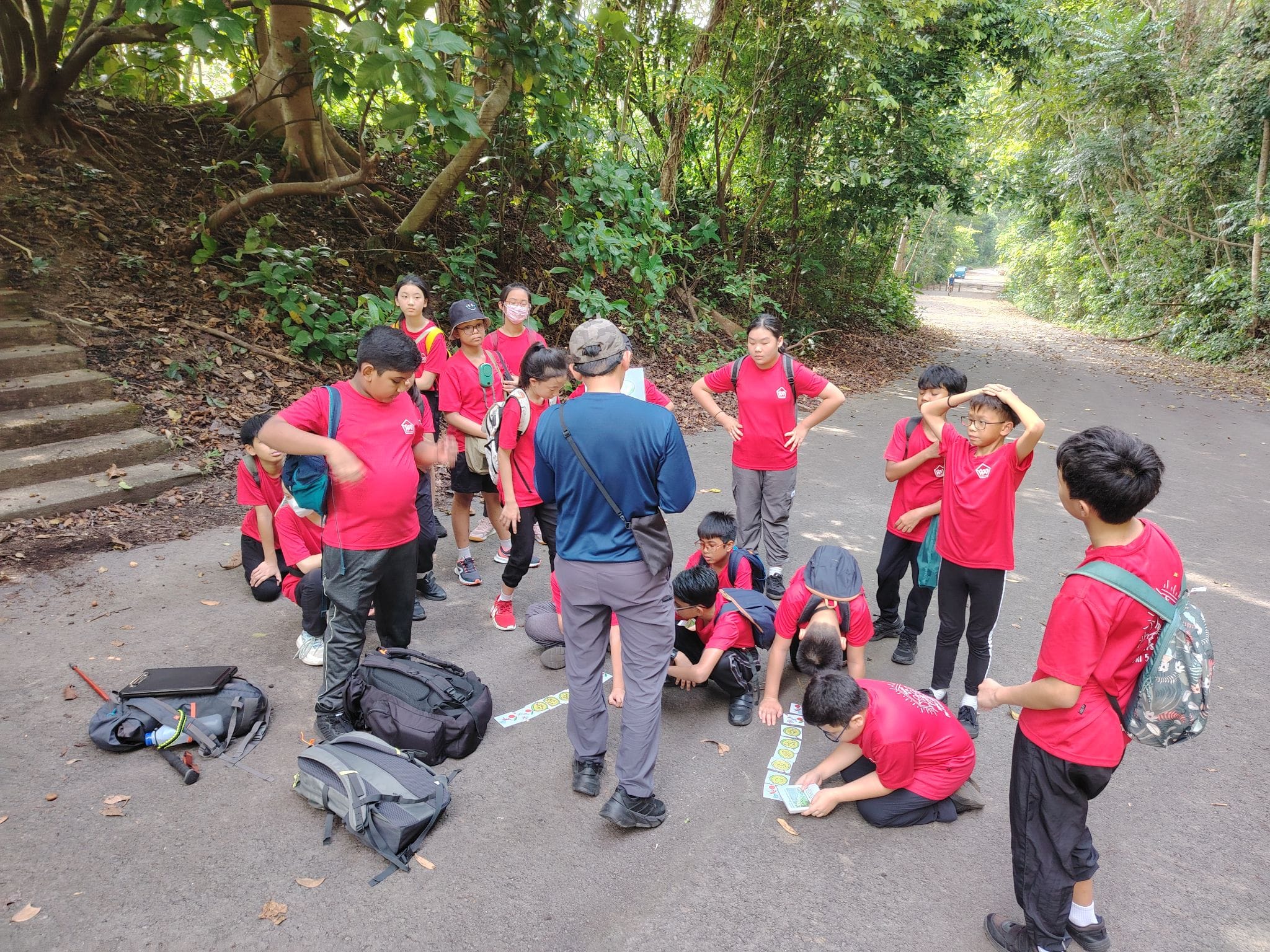 A group of children in red shirts gather around an adult on a forest path, examining cards on the ground.