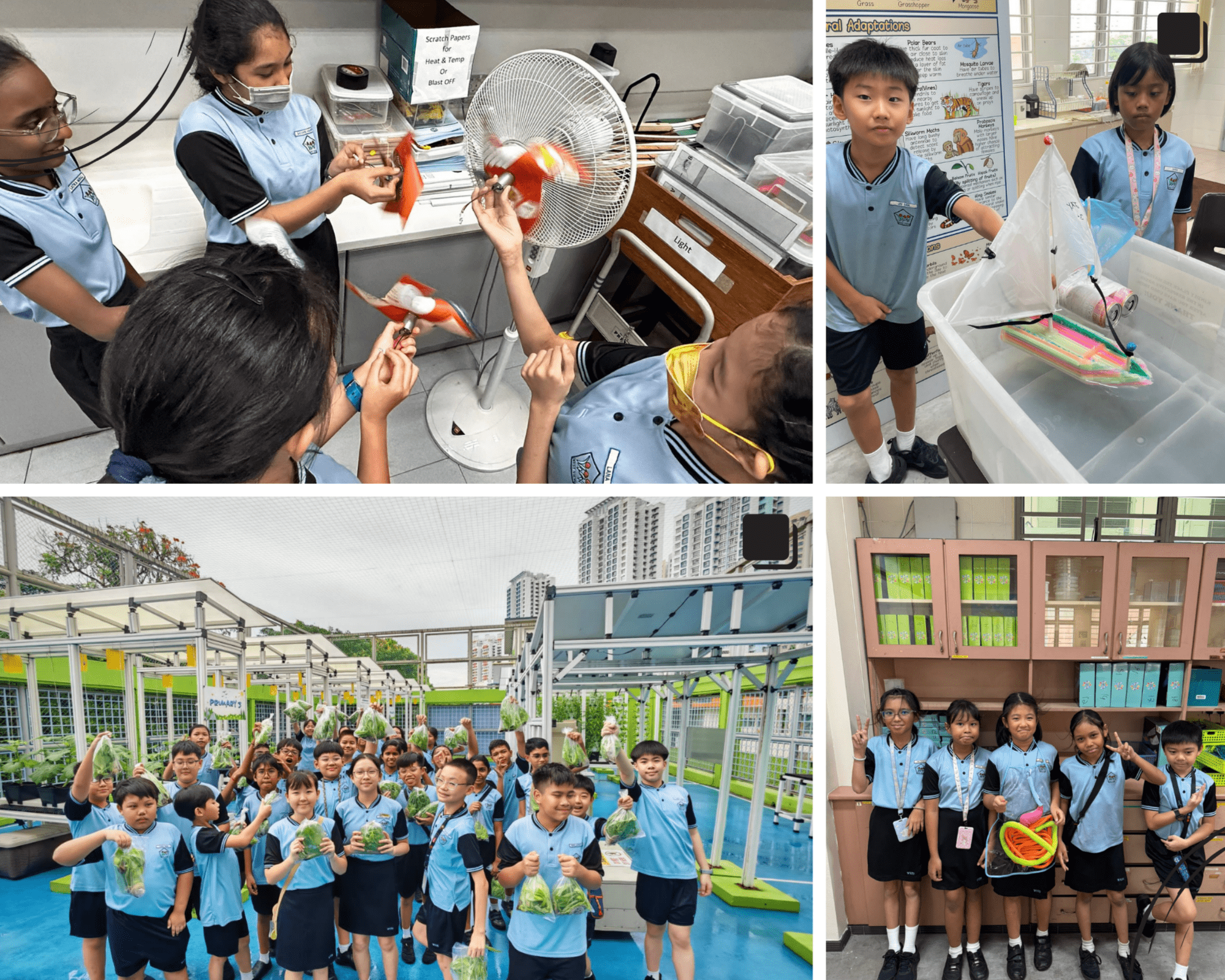 Four scenes of school children in blue uniforms doing science activities including fan experiments, boat testing, harvesting vegetables, and posing indoors.