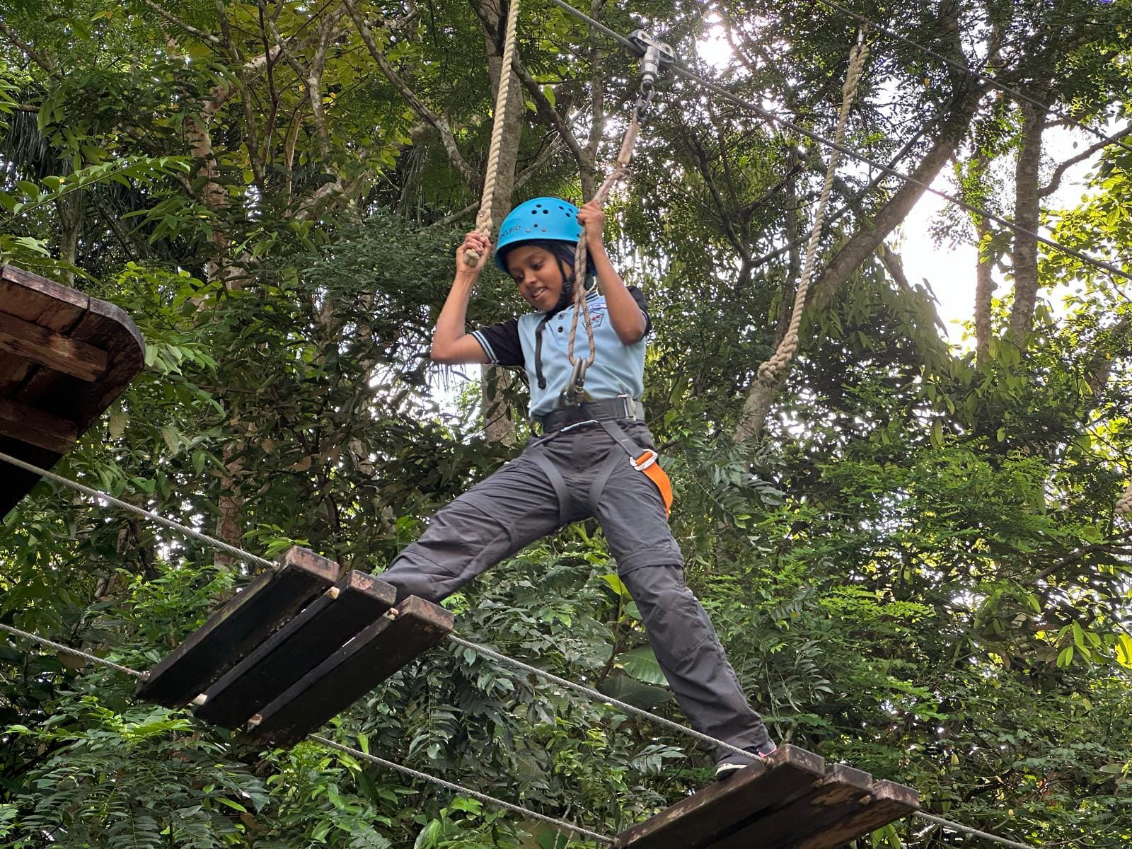 A child wearing a blue helmet and harness crosses a rope and plank bridge high in a forest canopy.