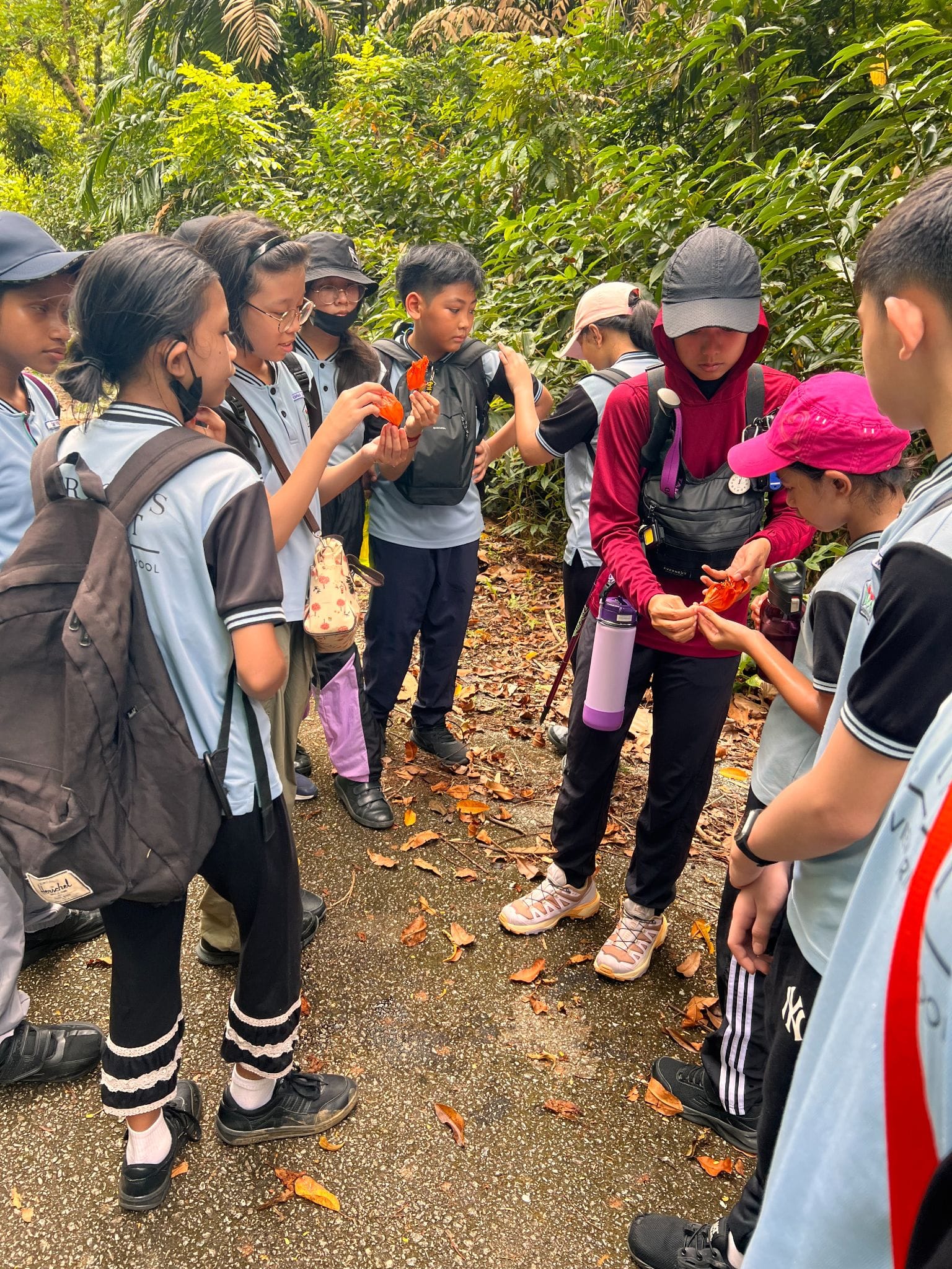 A group of school children in blue uniforms gather around an adult guide examining orange objects on a forest trail.