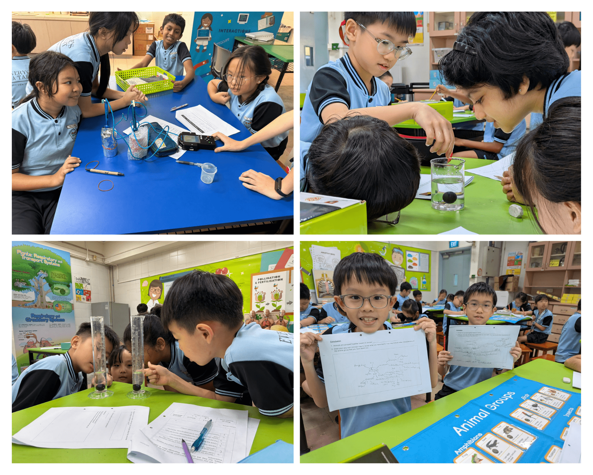 Four photos of young students in blue uniforms conducting science experiments and displaying written work in a classroom.