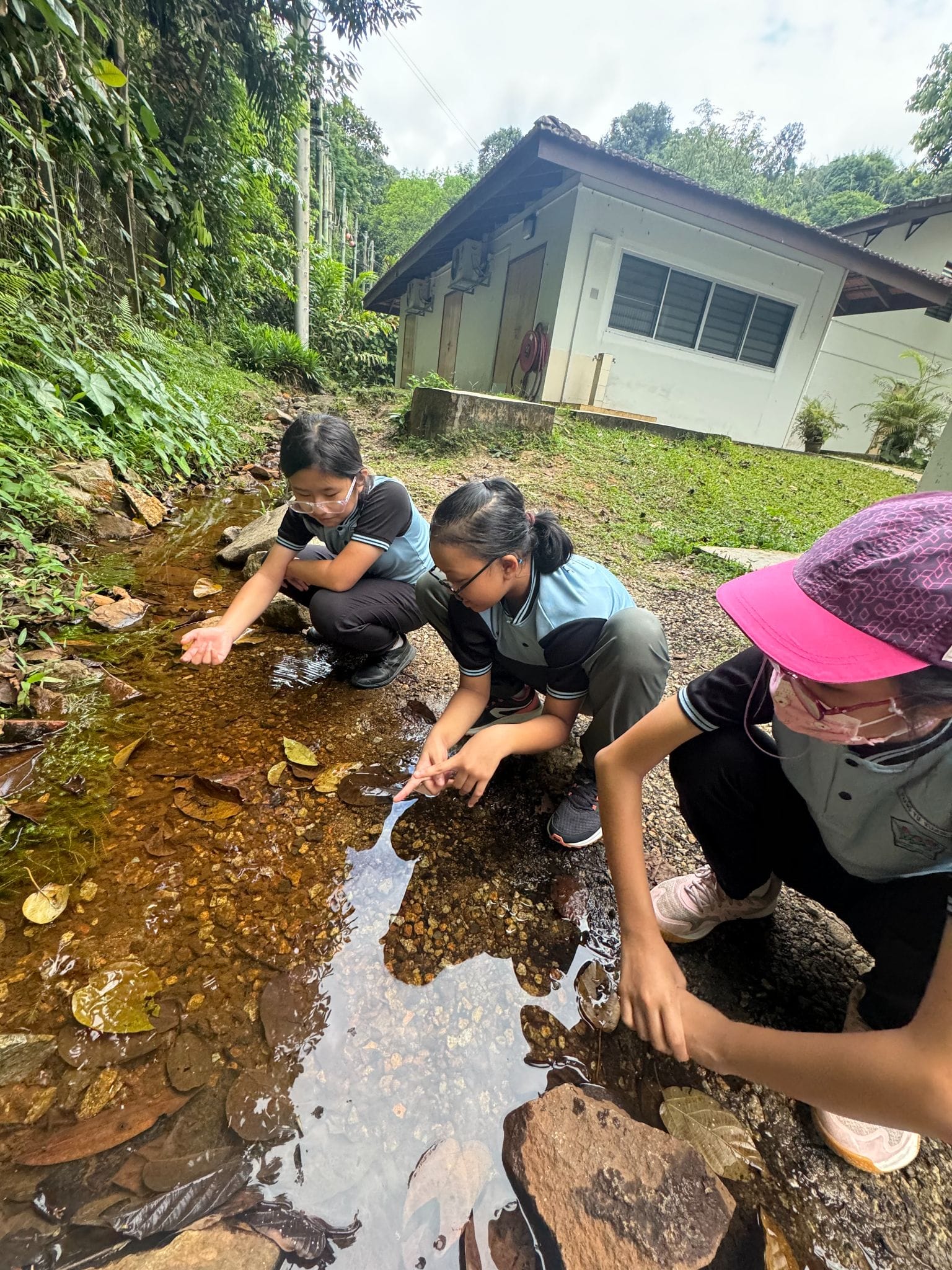 Three children in blue shirts crouch beside a shallow rocky stream outdoors, pointing and examining the water.