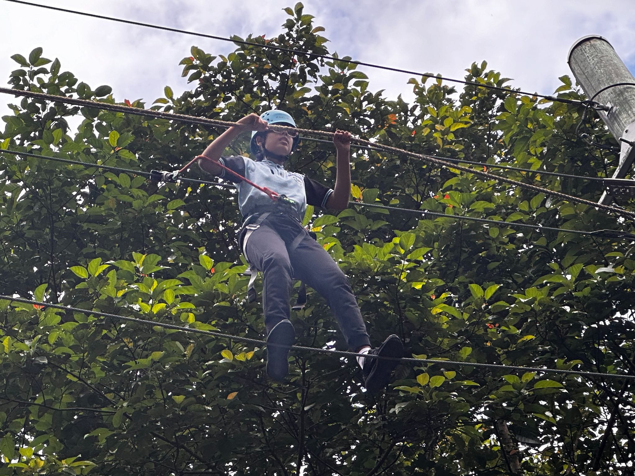 Person wearing a blue helmet and harness balancing on a high ropes course above green trees.