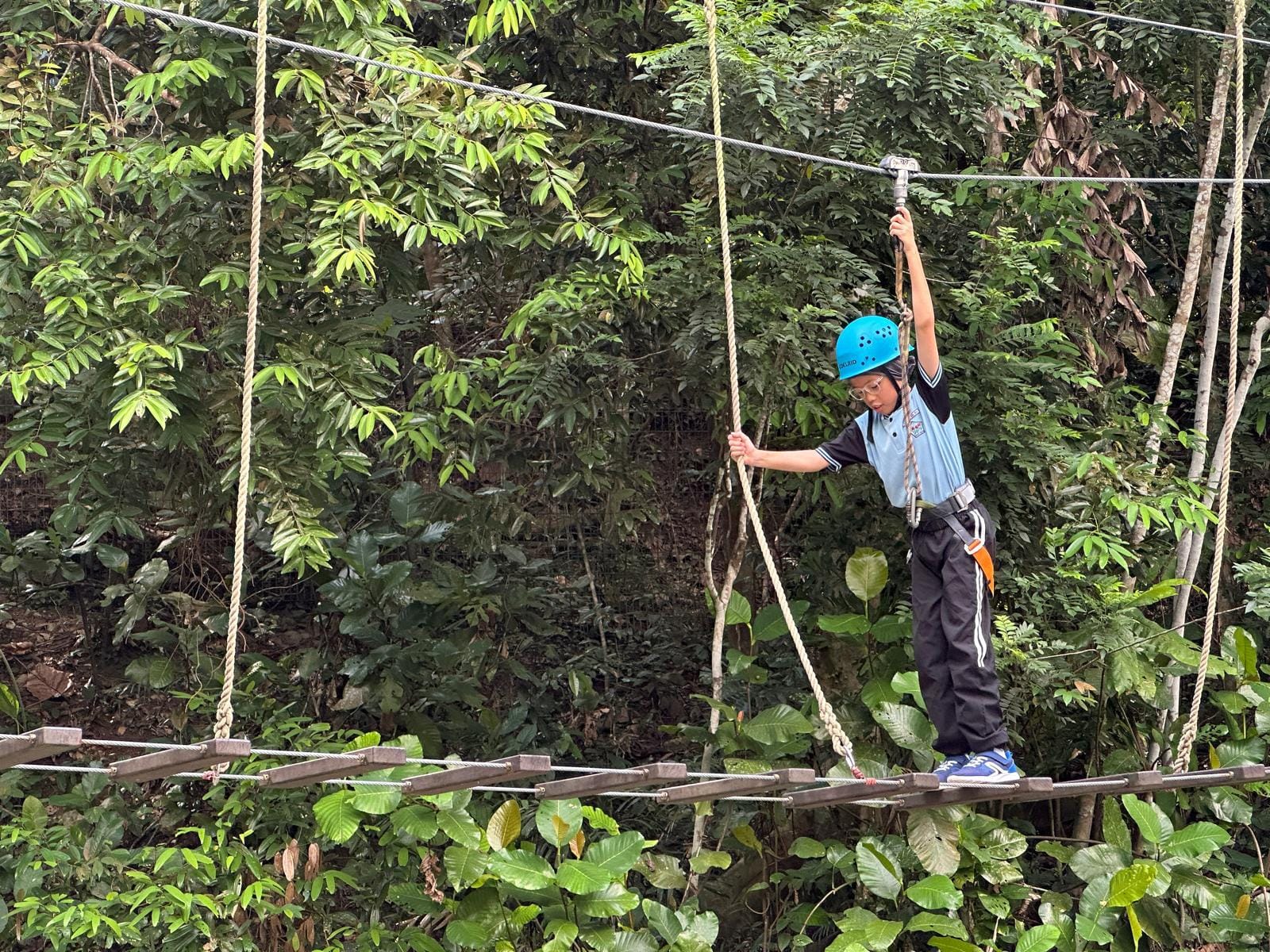 A child wearing a blue helmet and harness walks across a rope bridge suspended above dense green forest.