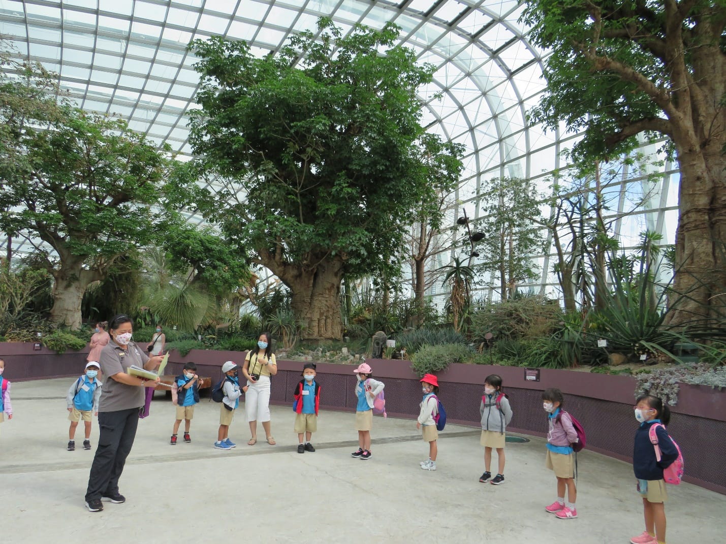 A guide leads masked schoolchildren on a tour inside a large glass-domed greenhouse with tall trees.
