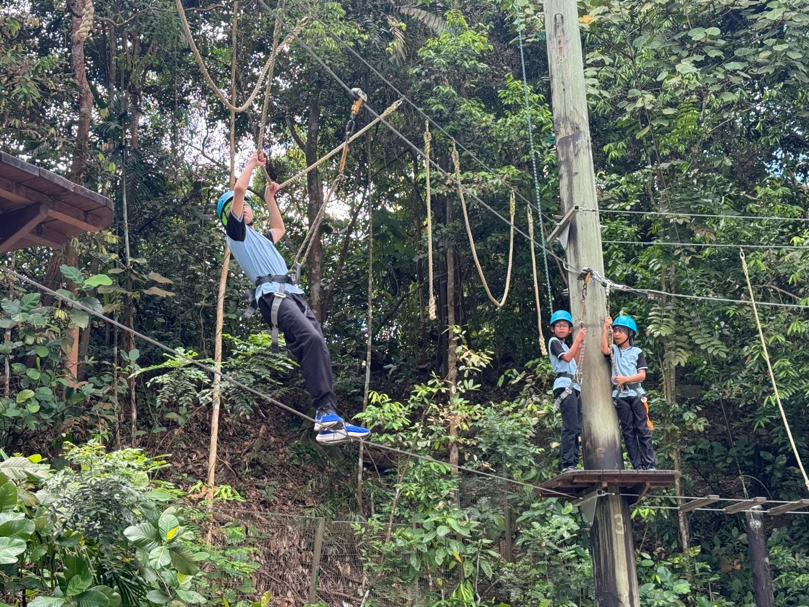 Three children in blue helmets navigate a high ropes course suspended above a forest, one swinging on a rope.