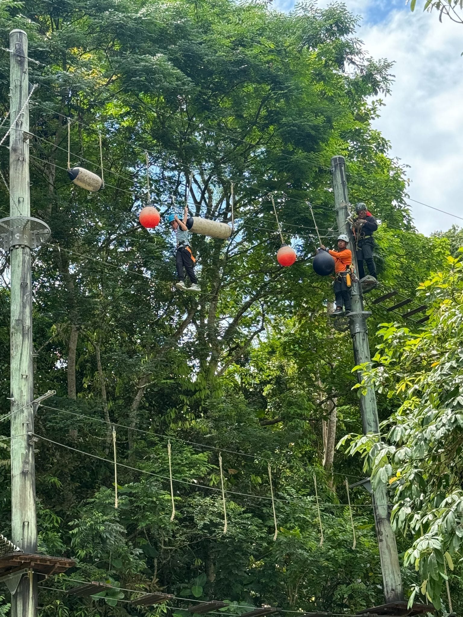 Three people in helmets and harnesses navigate a high ropes course with red and black ball obstacles among tall green trees.