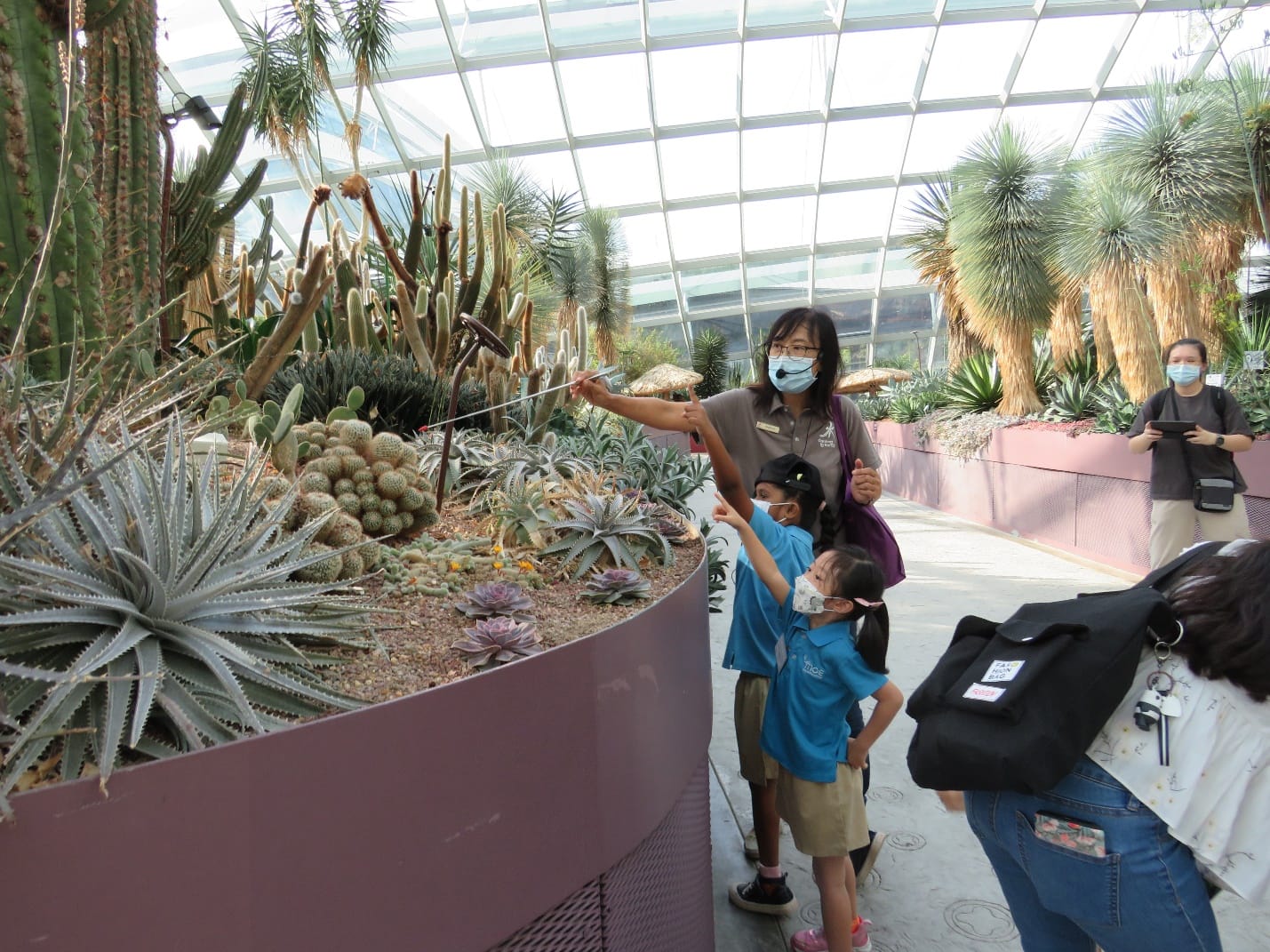 A masked guide points at cacti and succulents while two masked children look on inside a glass-domed greenhouse.