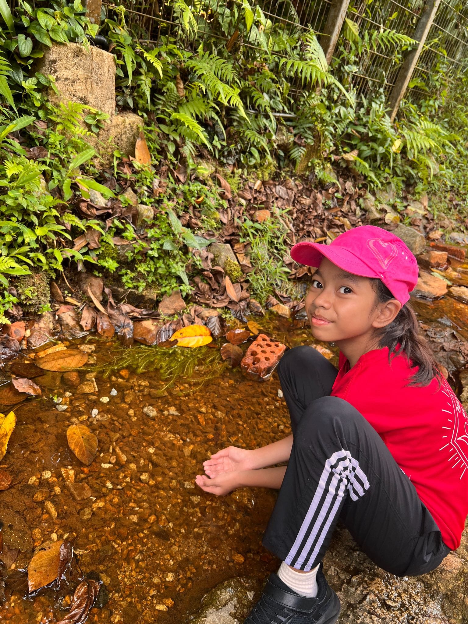 A young girl in a pink cap and red shirt crouches beside a shallow rocky stream surrounded by lush green plants.
