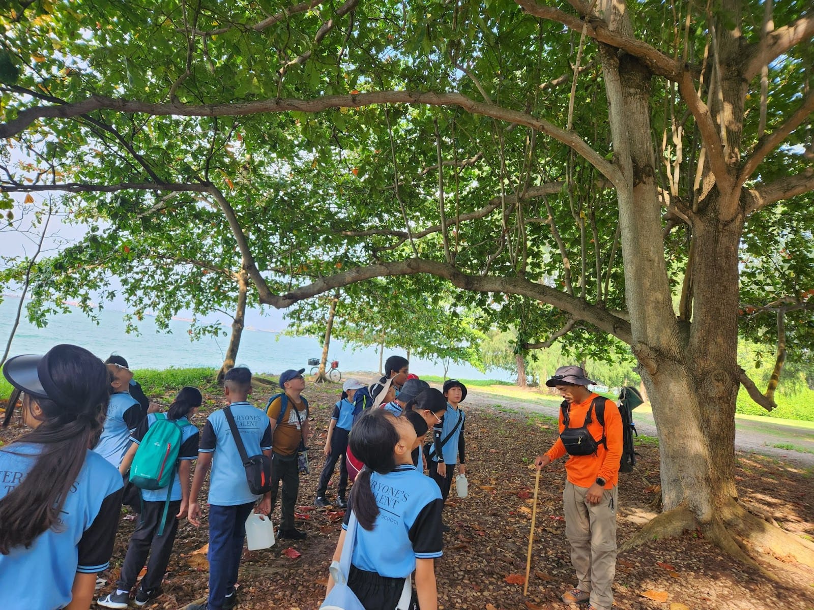 A guide with a walking stick addresses a group of children in blue uniforms under large trees near a coastal area.