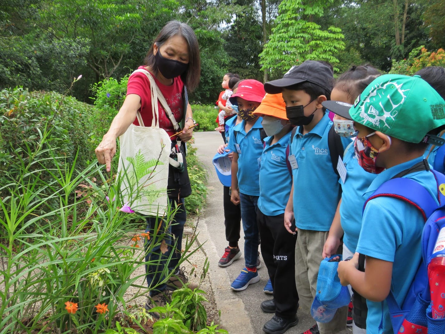 A masked adult in red points at garden plants while masked children in blue uniforms watch on a park path.