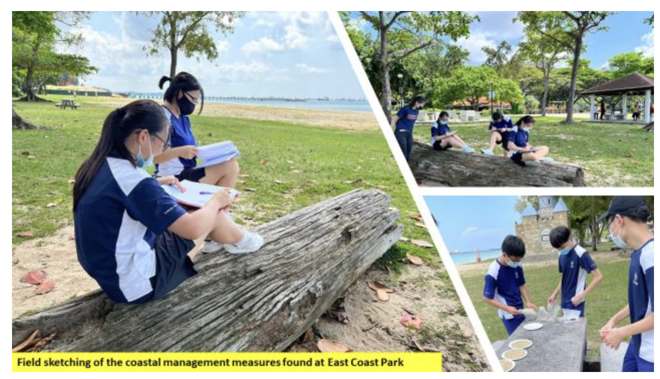 Students in masks sit on a fallen log and work outdoors at East Coast Park, sketching coastal management measures.