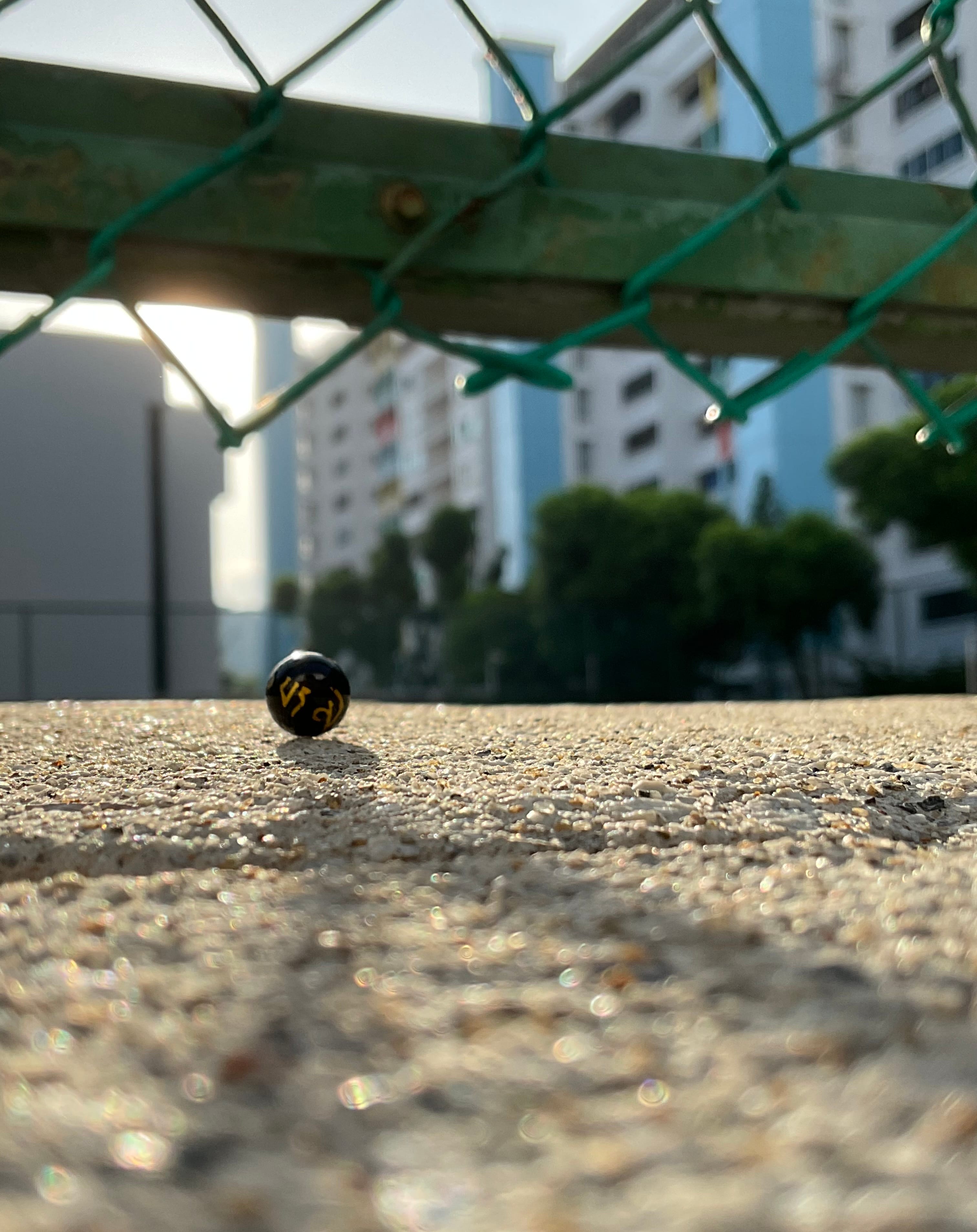 A small black ball with gold markings sits on a gritty ground beneath a green chain-link fence, with buildings behind.