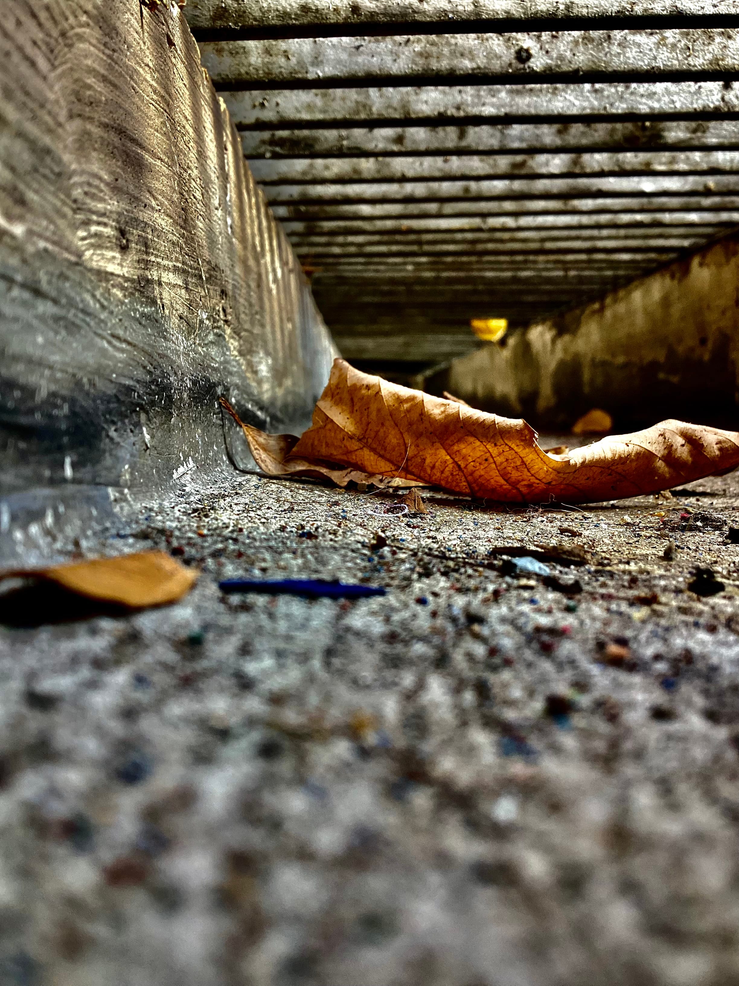 A dry brown leaf rests on gritty concrete at ground level beside a metal drainage grate opening.
