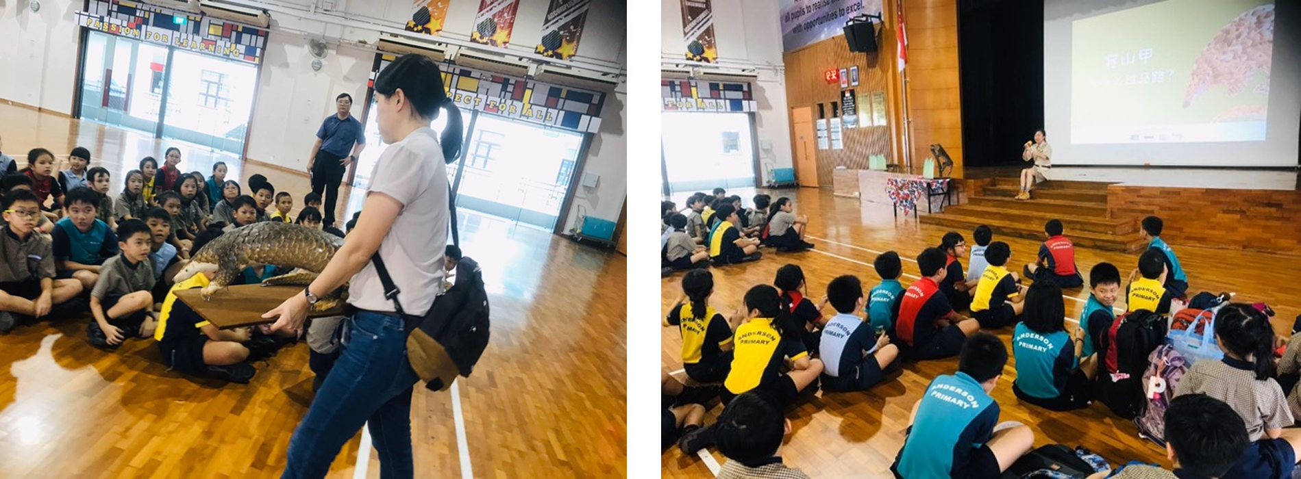 Students sit on a gym floor as a presenter shows a pangolin; another presenter speaks on stage by a screen.