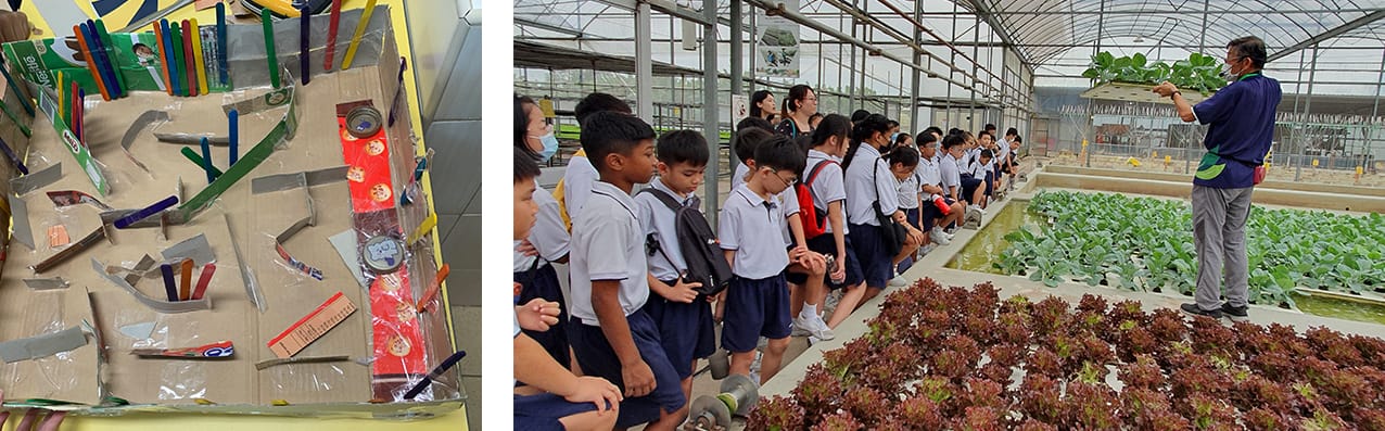 Students in uniforms tour a greenhouse with leafy crops while another photo shows a cardboard craft project with colorful sticks.